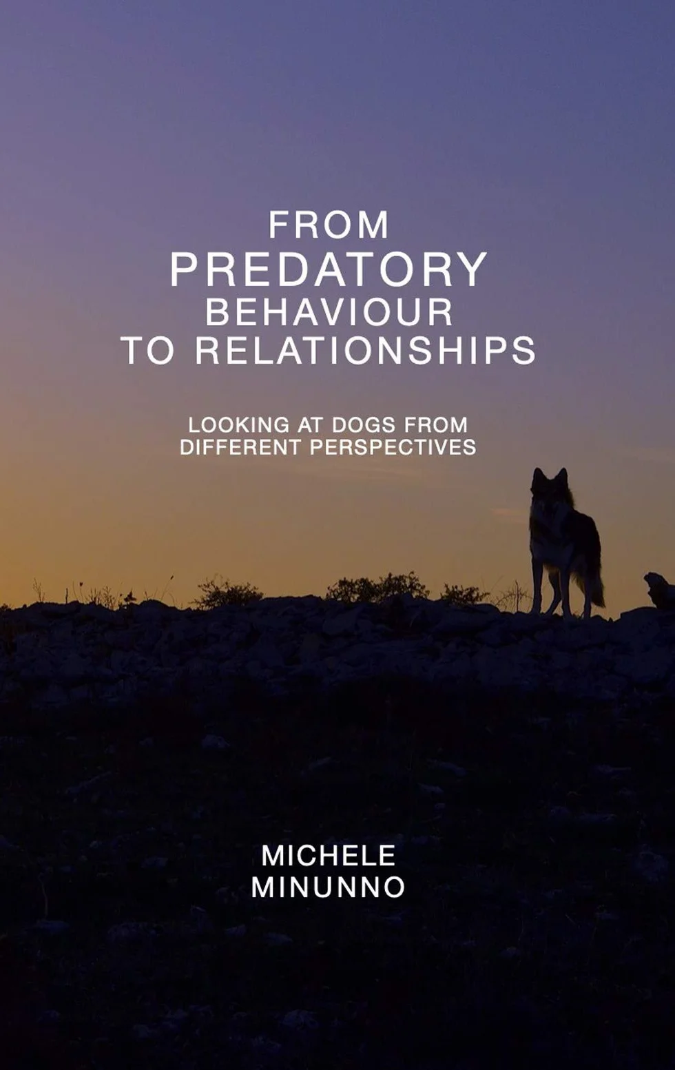 From predatory behaviour to relationship: looking at dog from different perspectives