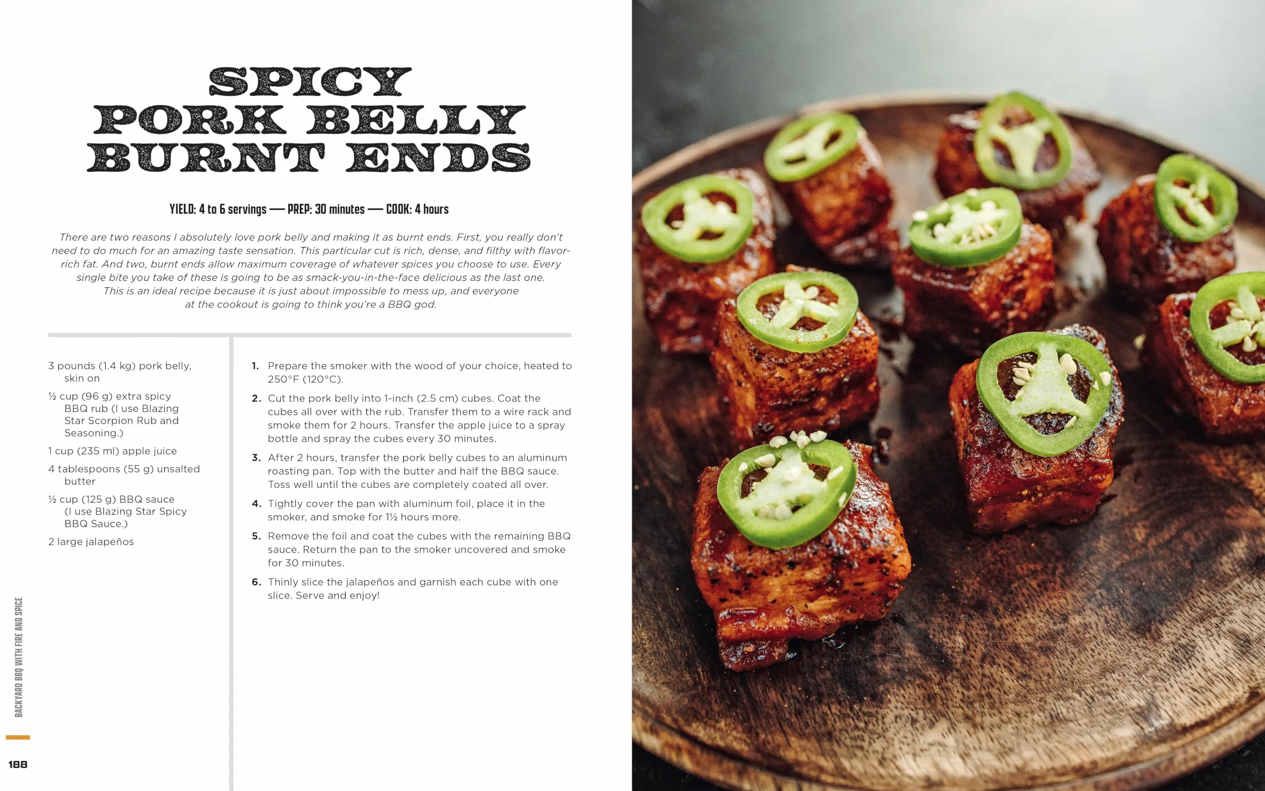 Backyard BBQ with Fire and Spice: Filipino- And Cajun-Inspired Recipes for the Smoker and Grill