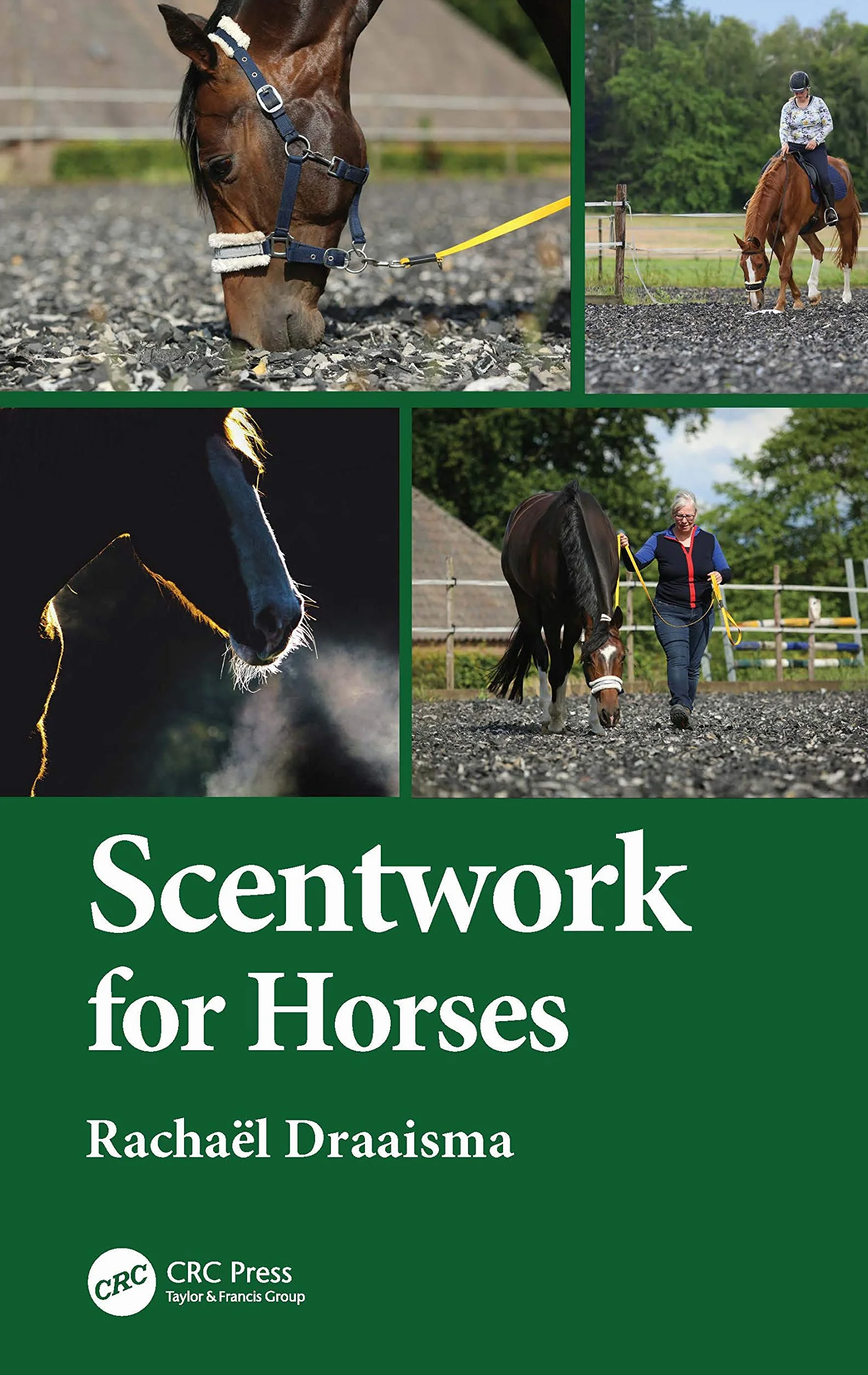 Scentwork for Horses