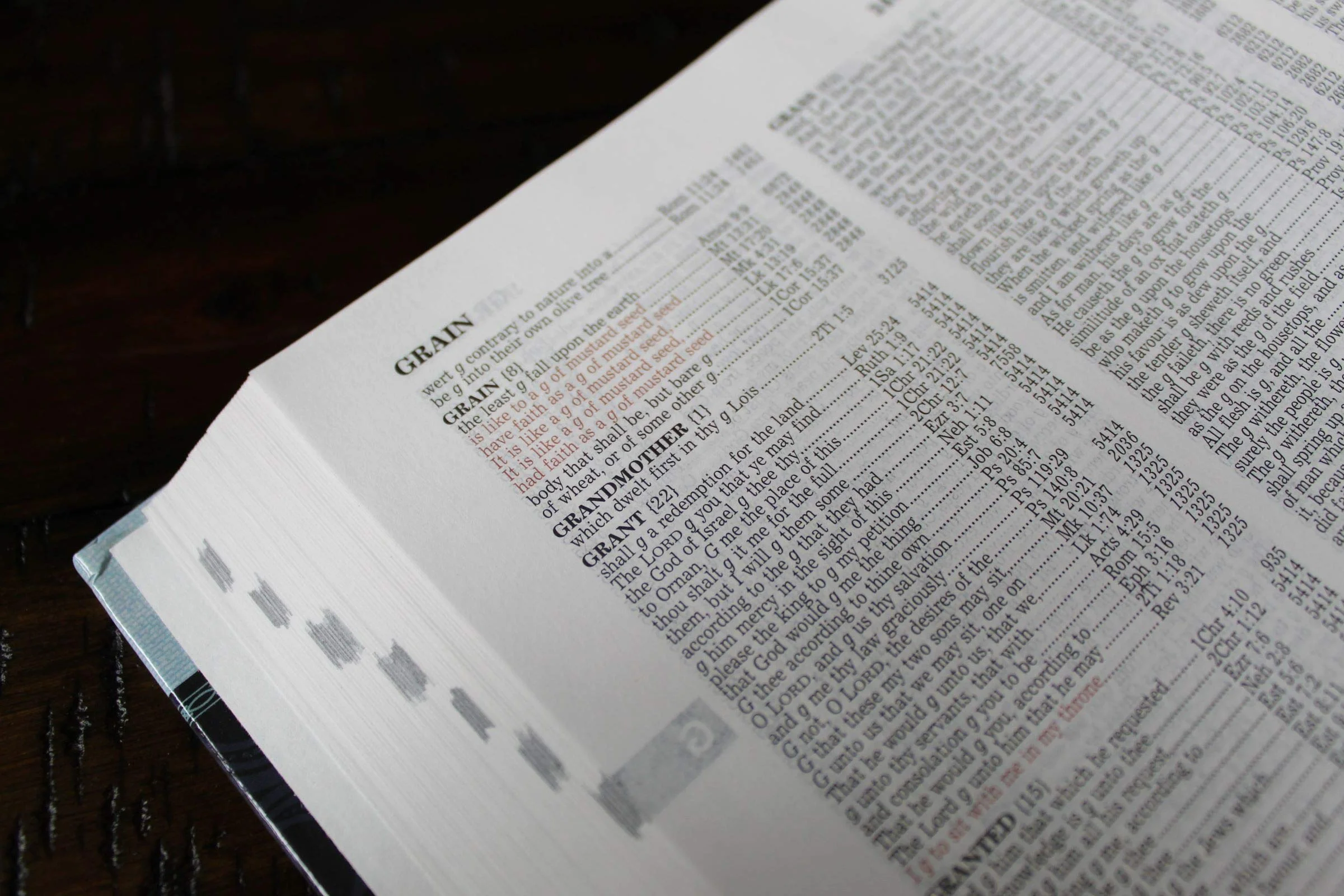 The New Strong's Expanded Exhaustive Concordance of the Bible: Every Word of the Bible Indexed, Red Letter Edition