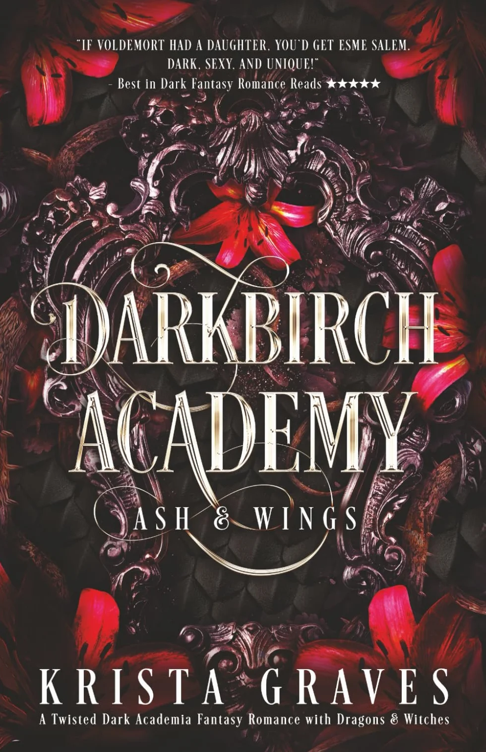 Darkbirch Academy: A Twisted Dark Academia Fantasy Romance with Dragons & Witches