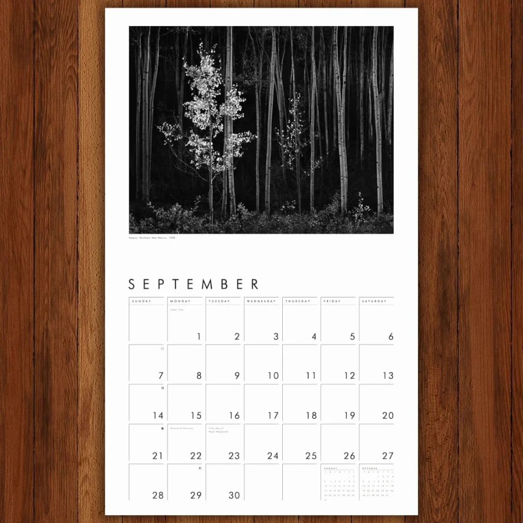 Ansel Adams 2025 Wall Calendar: Authorized Edition: 13-Month Nature Photography Collection (Monthly Calendar)