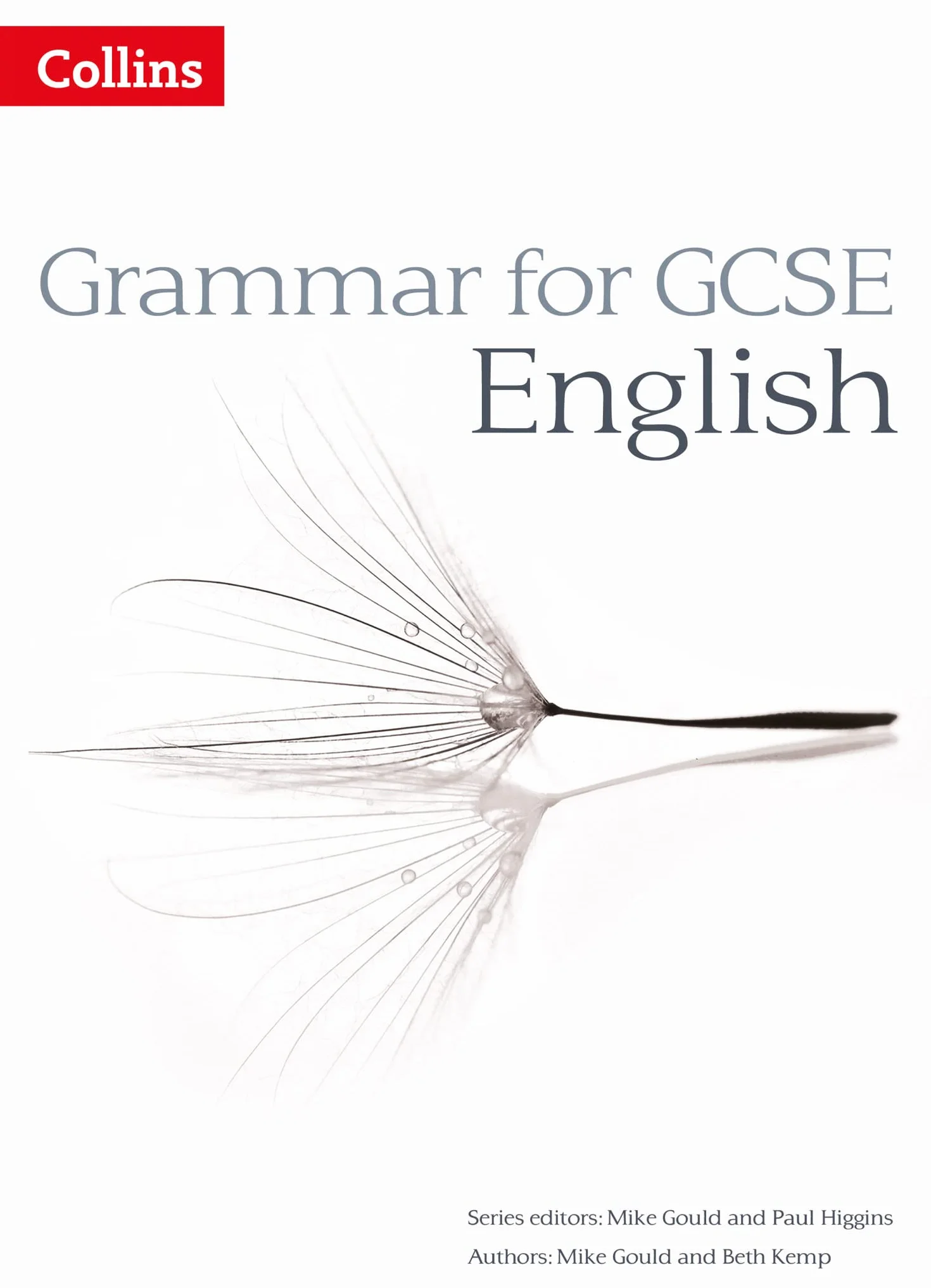 Grammar for GCSE English