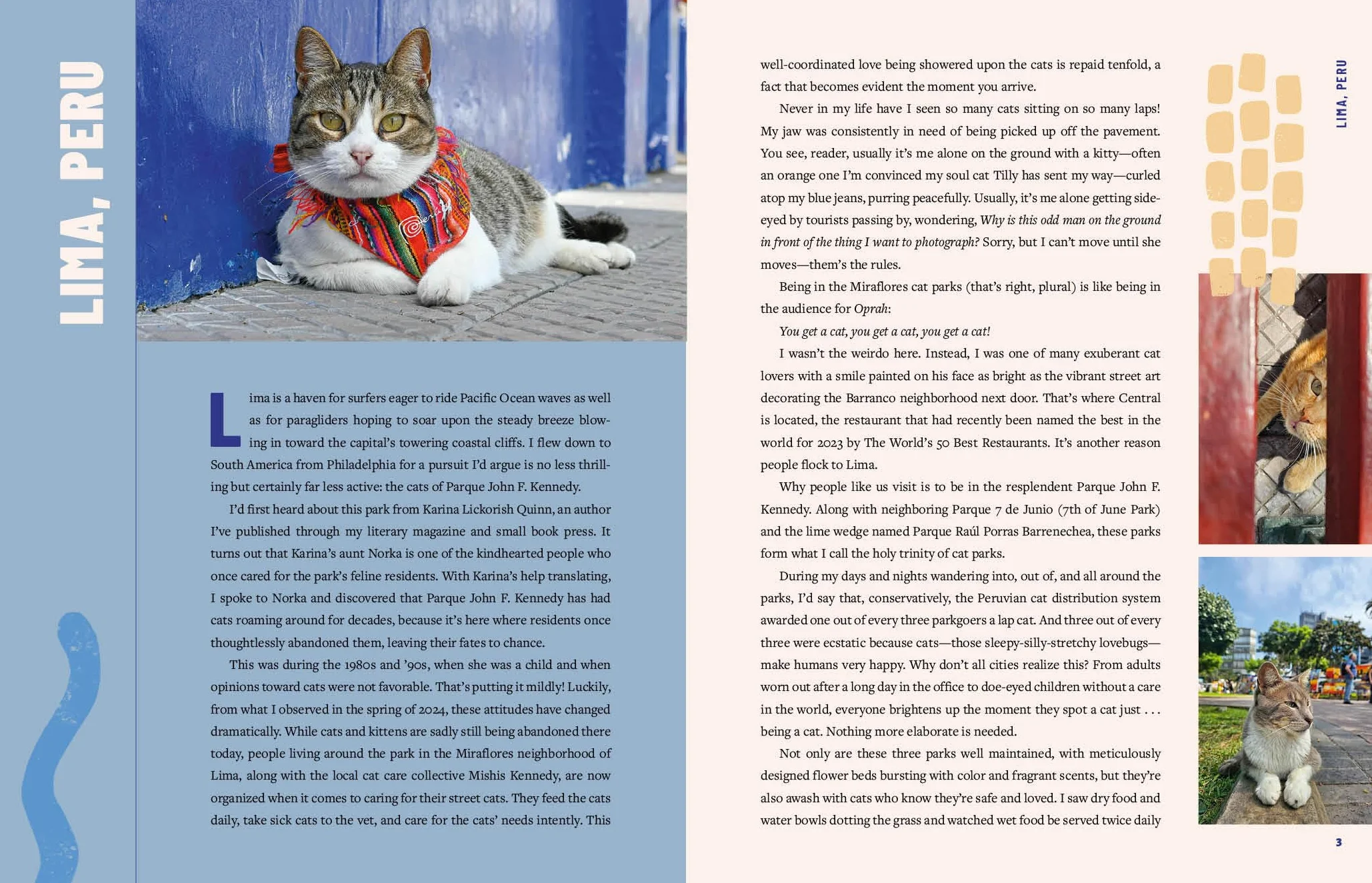 Street Cats & Where to Find Them: The Most Feline-Friendly Cities and Attractions Around the World