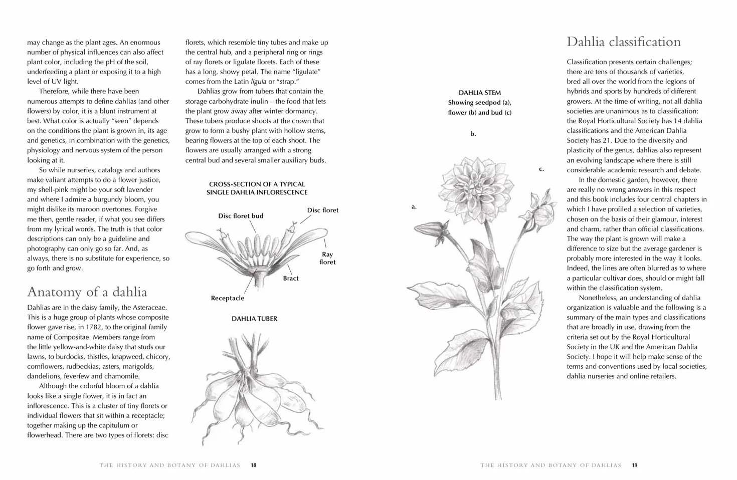 Dahlias: The ultimate flower guide for growing, flowering and cutting varieties for the home and gardening