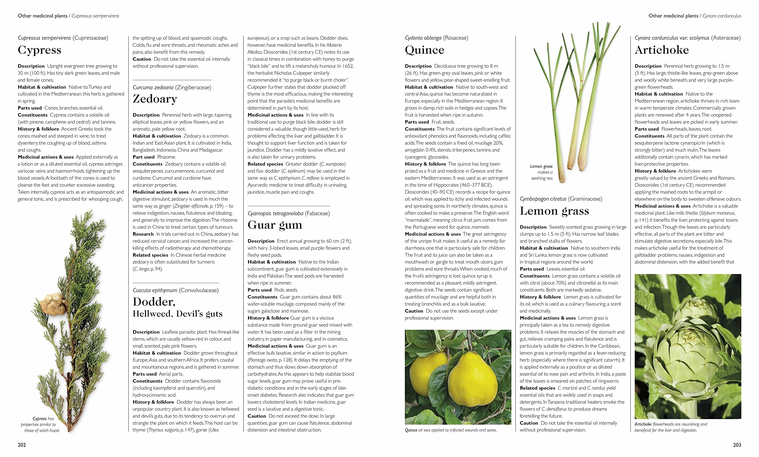 Encyclopedia of Herbal Medicine New Edition: 560 Herbs and Remedies for Common Ailments