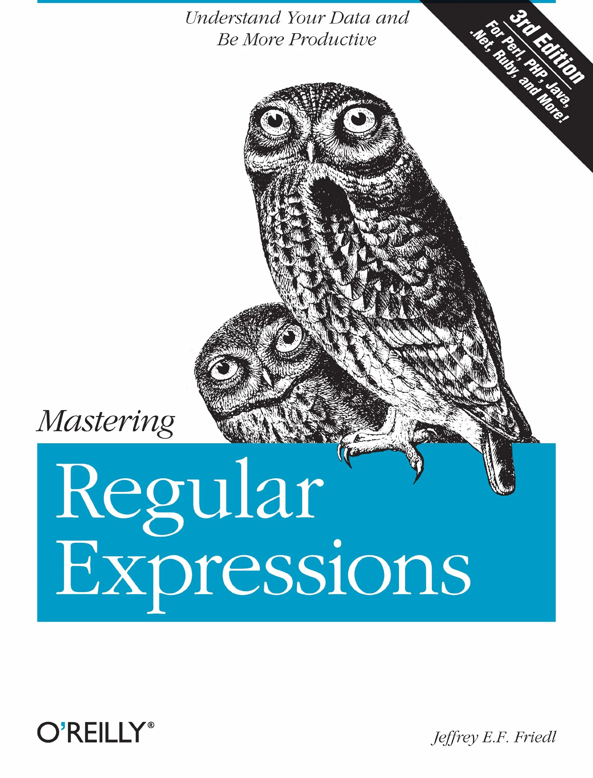 Mastering Regular Expressions: Understand Your Data and Be More Productive