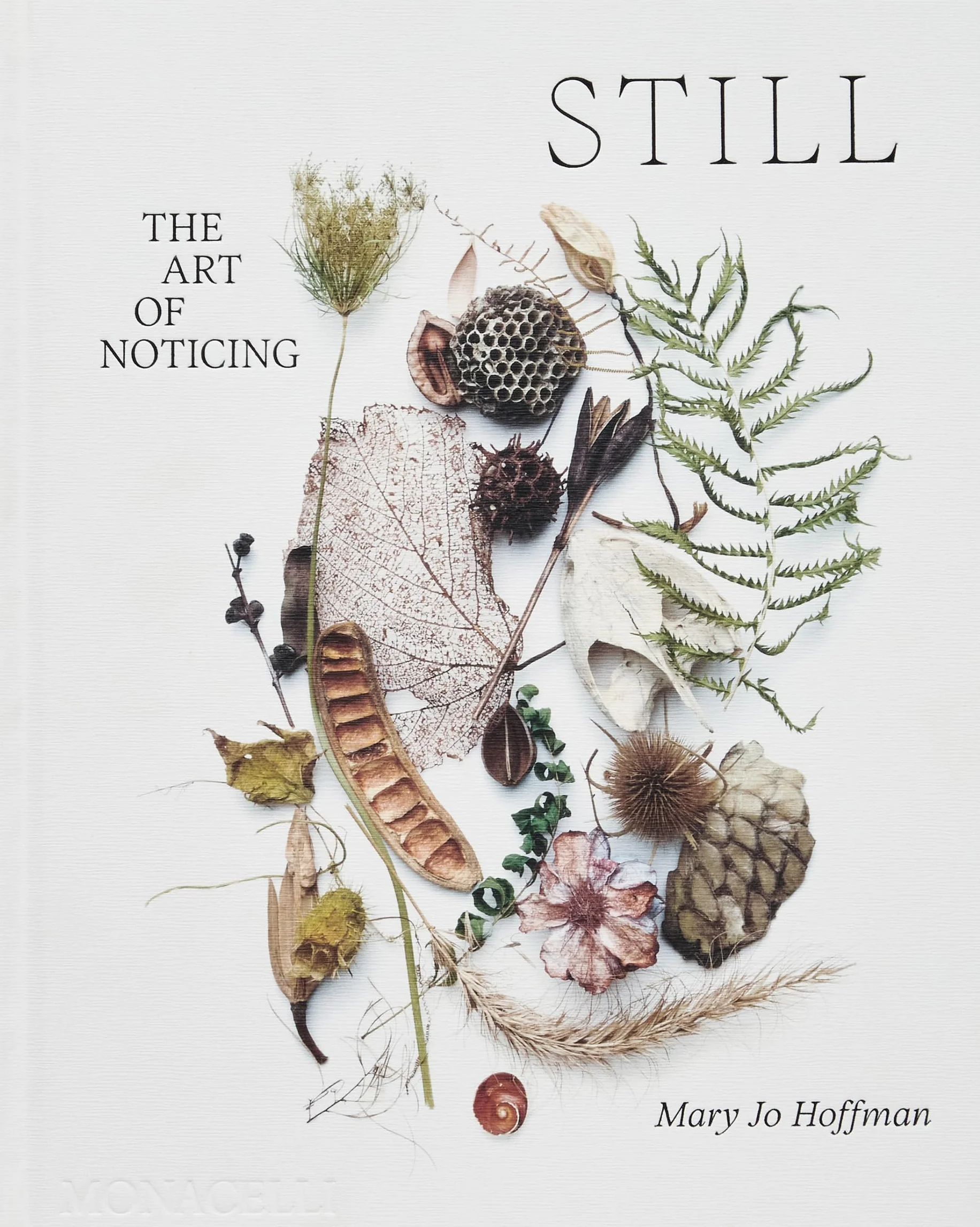 Still: The Art of Noticing