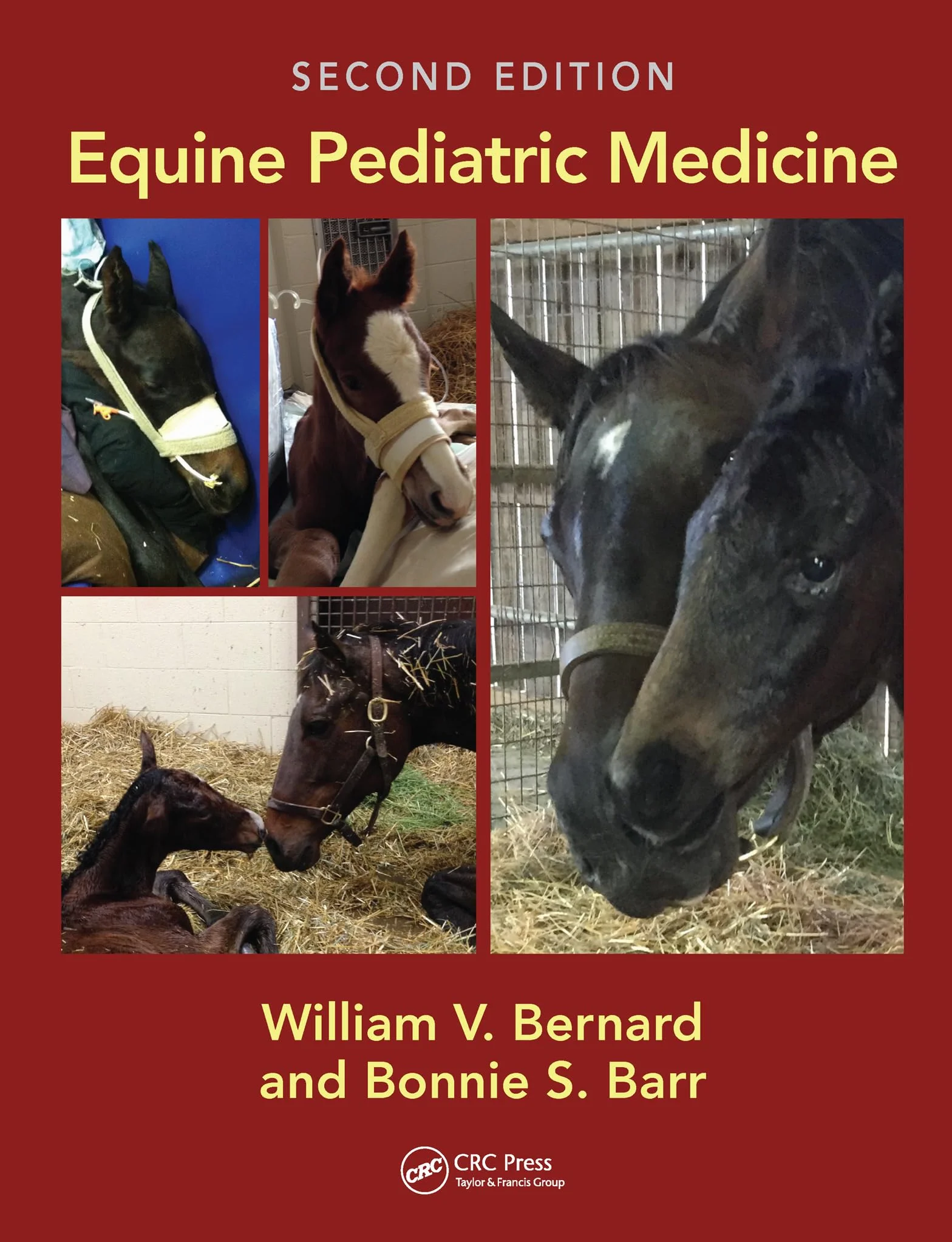 Equine Pediatric Medicine