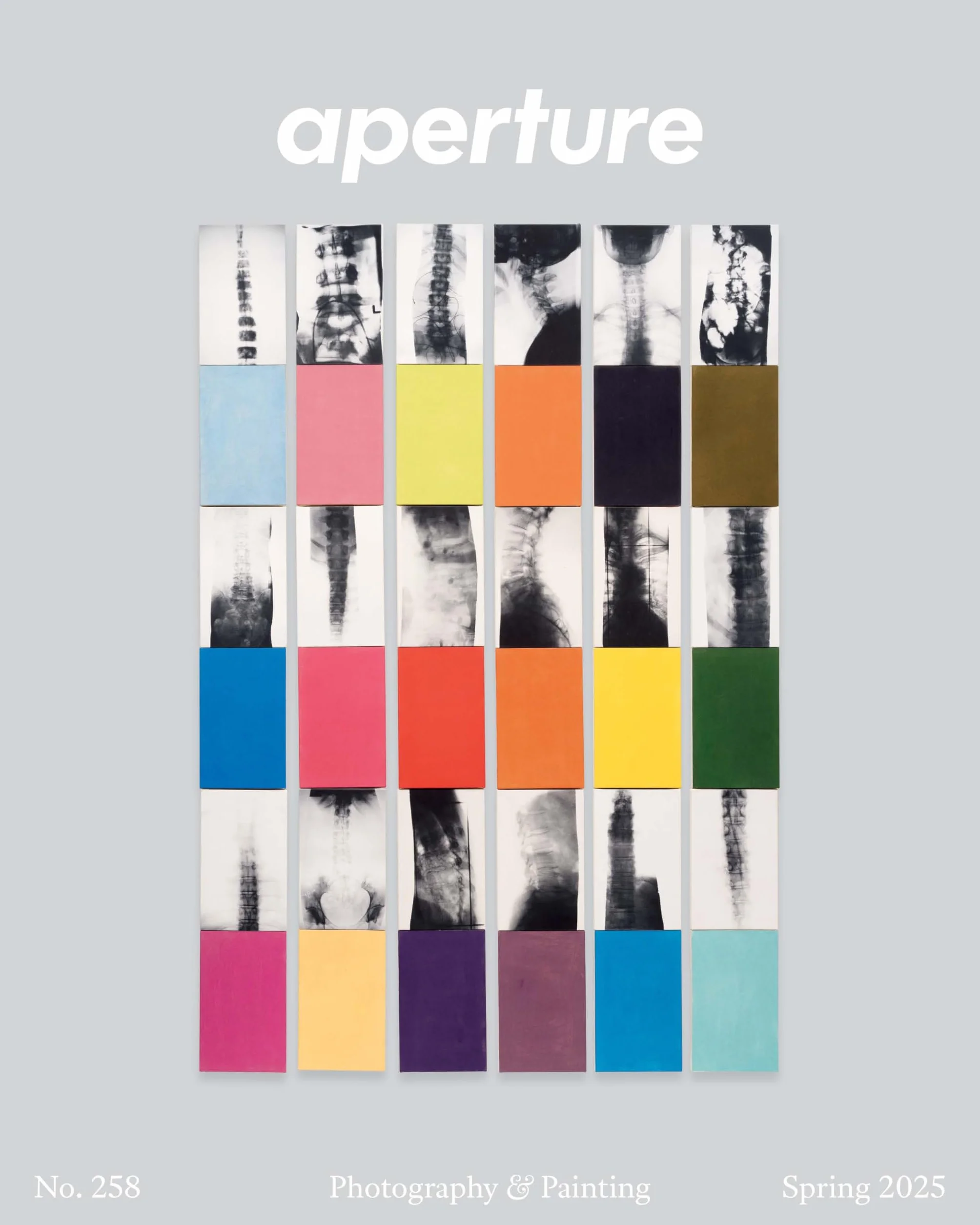 Magazine Aperture 258 : Photography & Painting /anglais