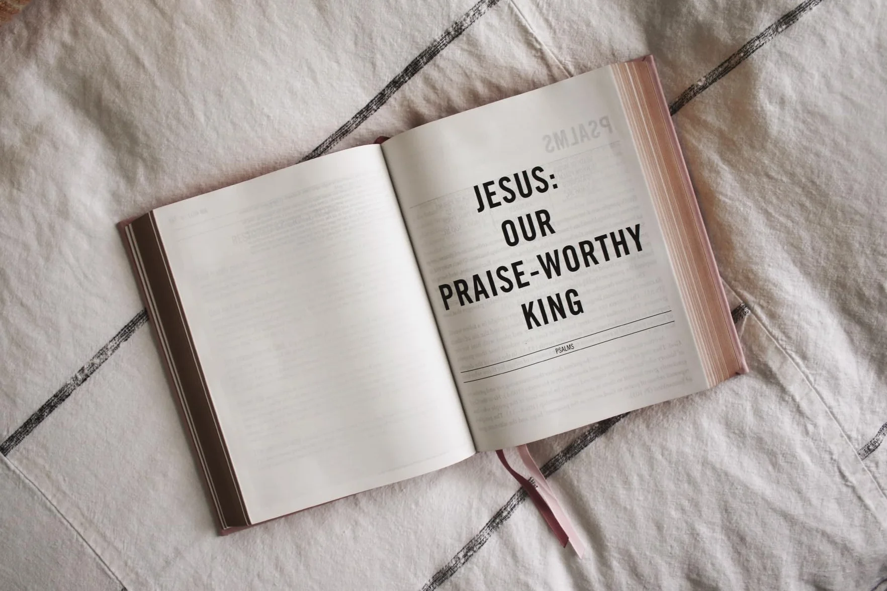 The Jesus Bible, ESV Edition, Leathersoft Over Board, Pink: Sixty-Six Books. One Story. All About One Name.