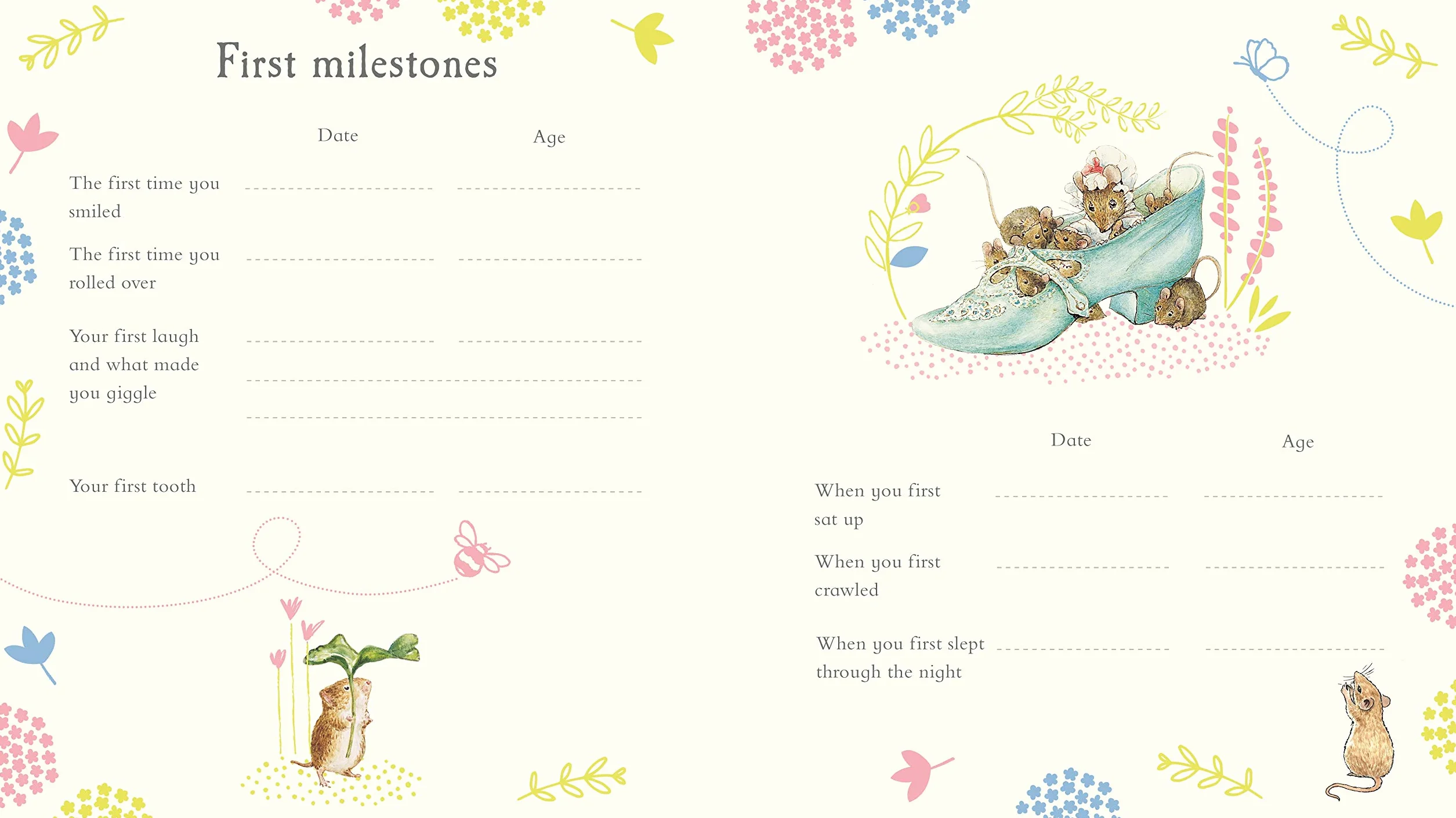 Peter Rabbit Baby Record Book