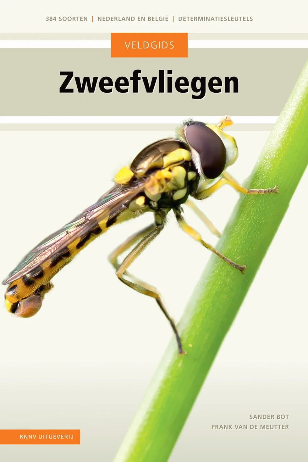 Zweefvliegen: 384 soorten - Nederland en België - determinatiesleutels