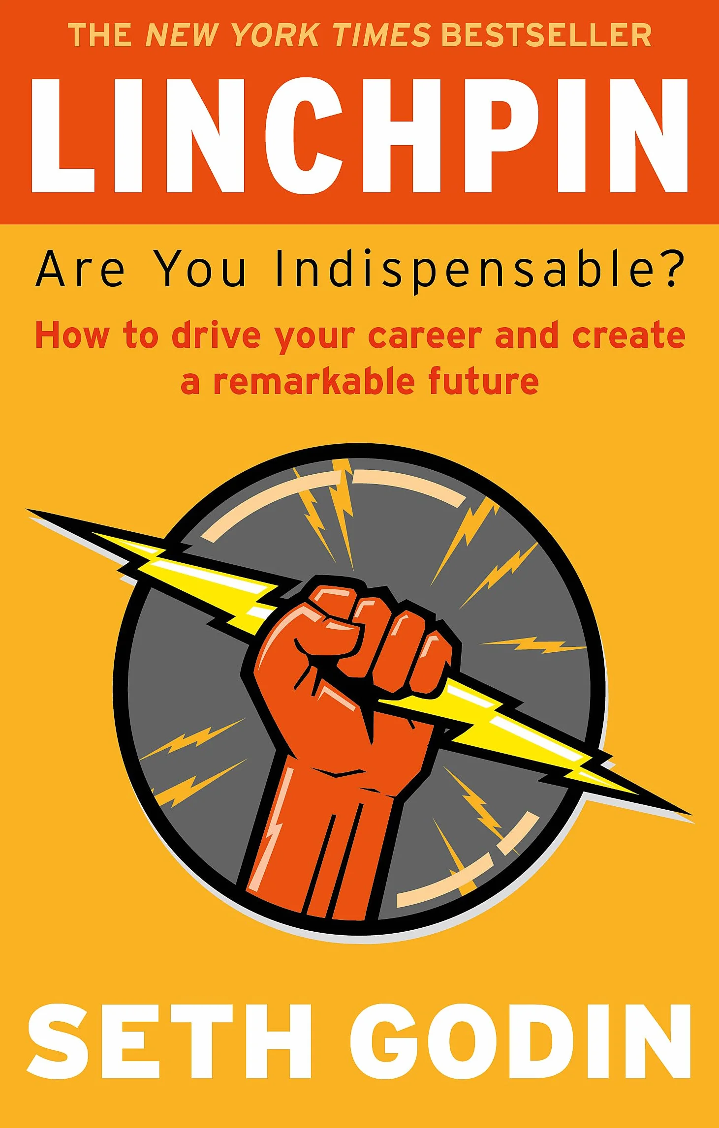 Linchpin: Are You Indispensable? How to drive your career and create a remarkable future