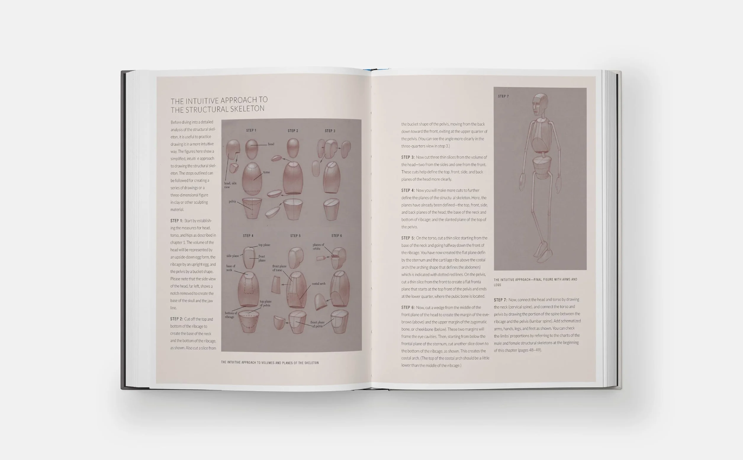 Basic Human Anatomy: An Essential Visual Guide for Artists