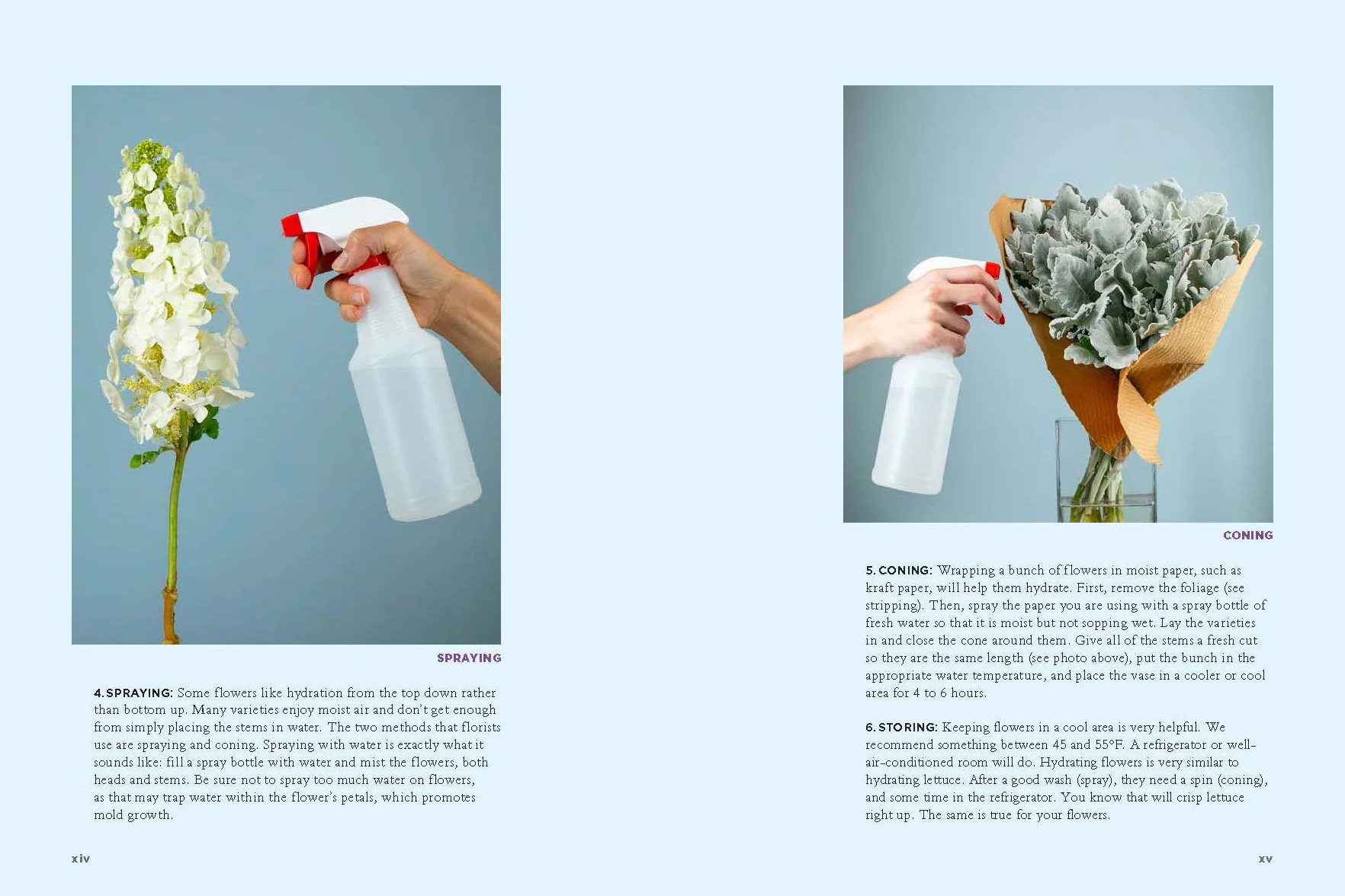 The Encyclopedia of Cut Flowers: What Flowers to Buy, When to Buy Them, and How to Keep Them Alive Longer