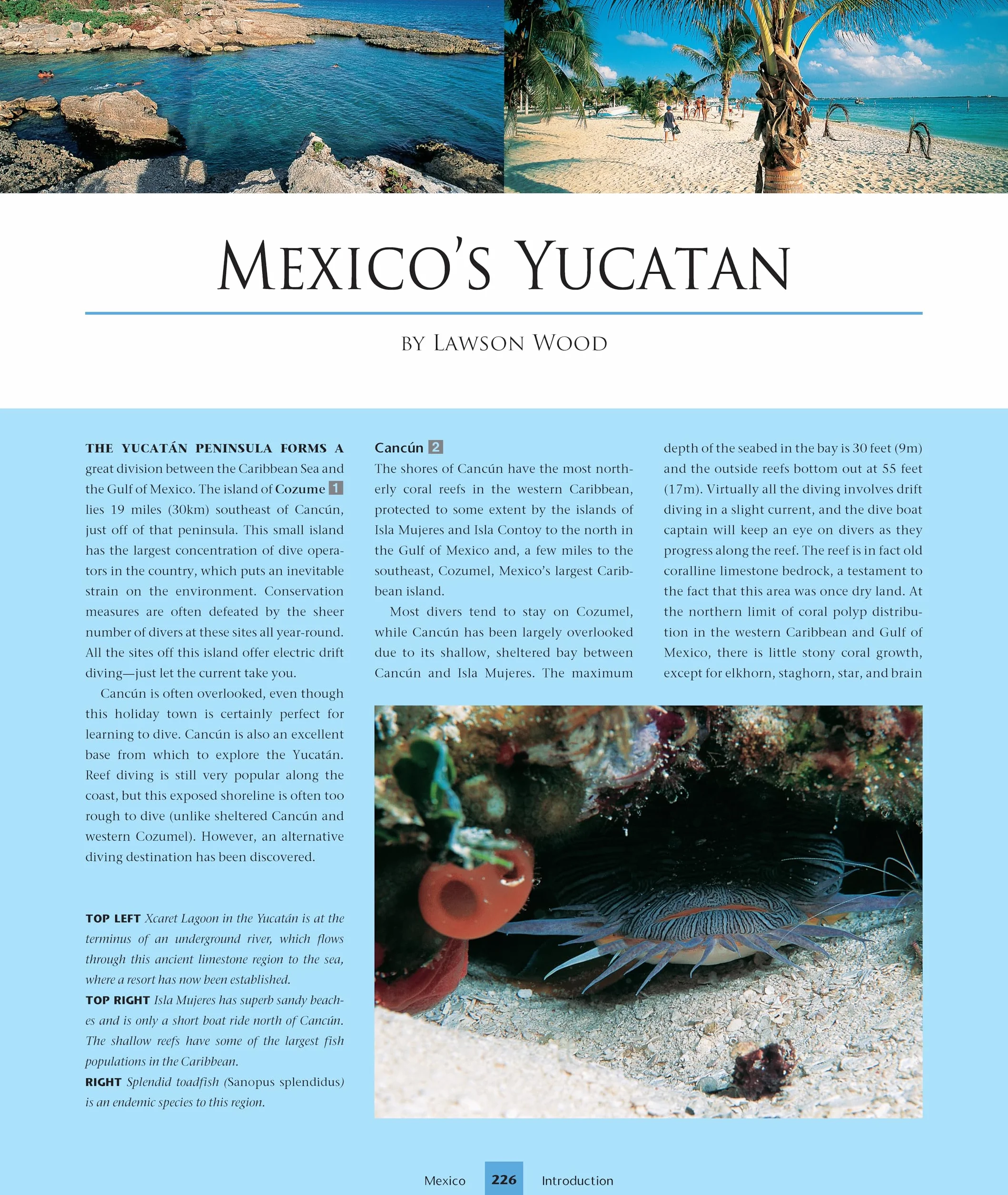Dive Atlas of the World, Revised and Expanded Edition: An Illustrated Reference to the Best Sites