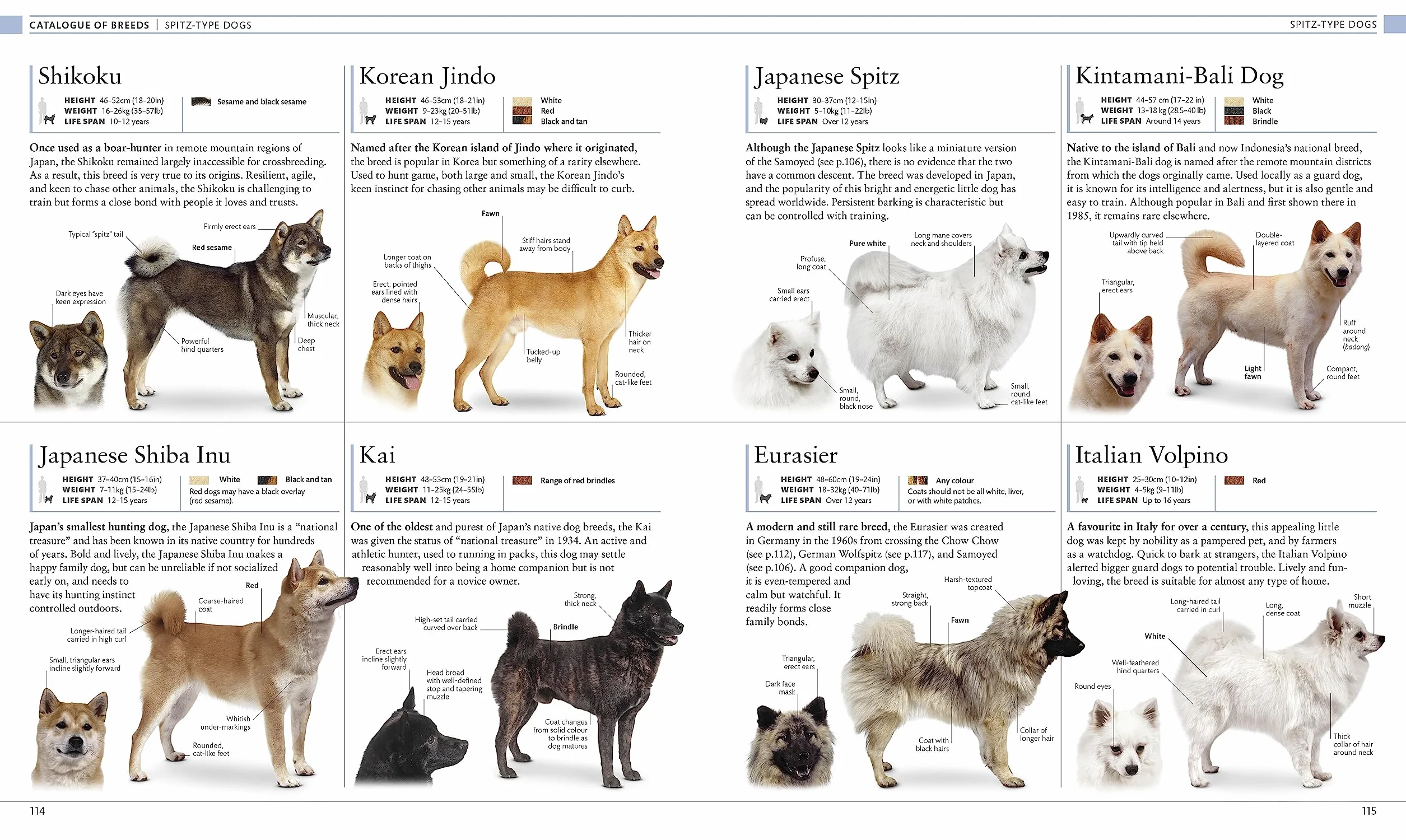 The Dog Encyclopedia: The Definitive Visual Guide