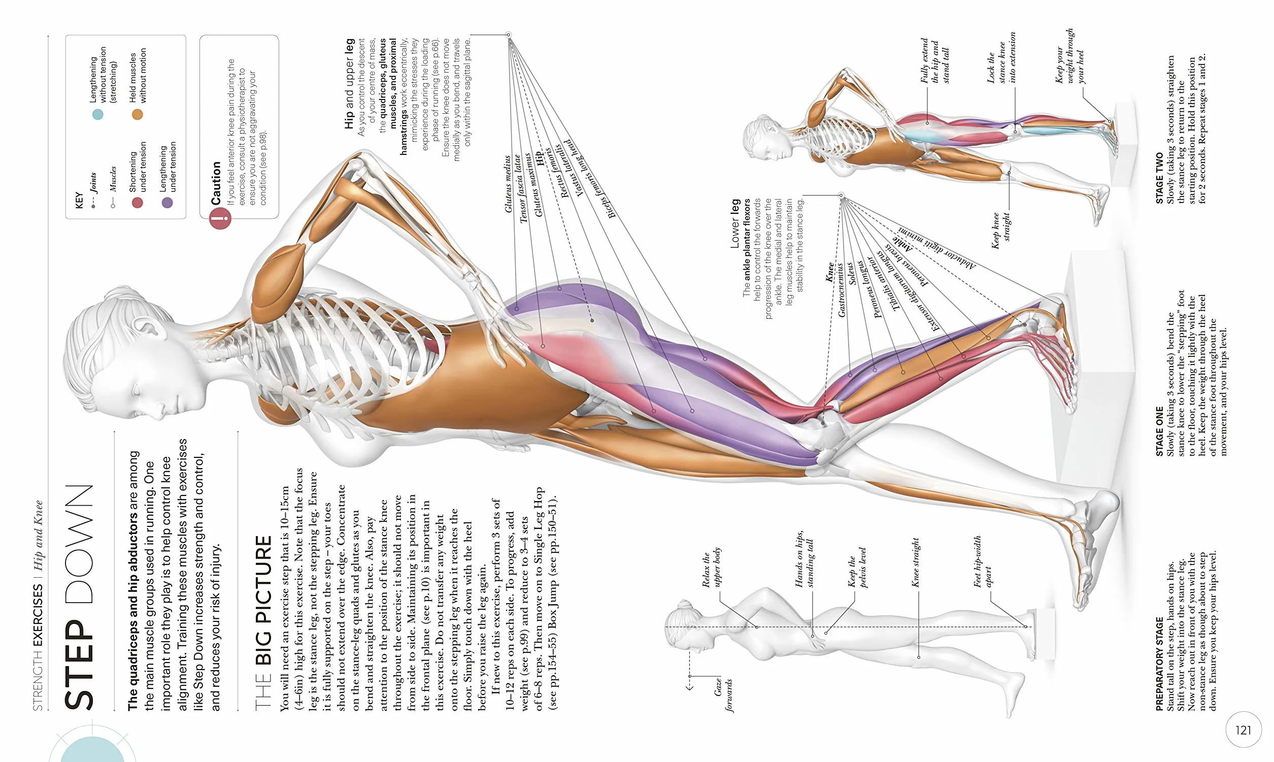 Science of Running: Analyse your Technique, Prevent Injury, Revolutionize your Training