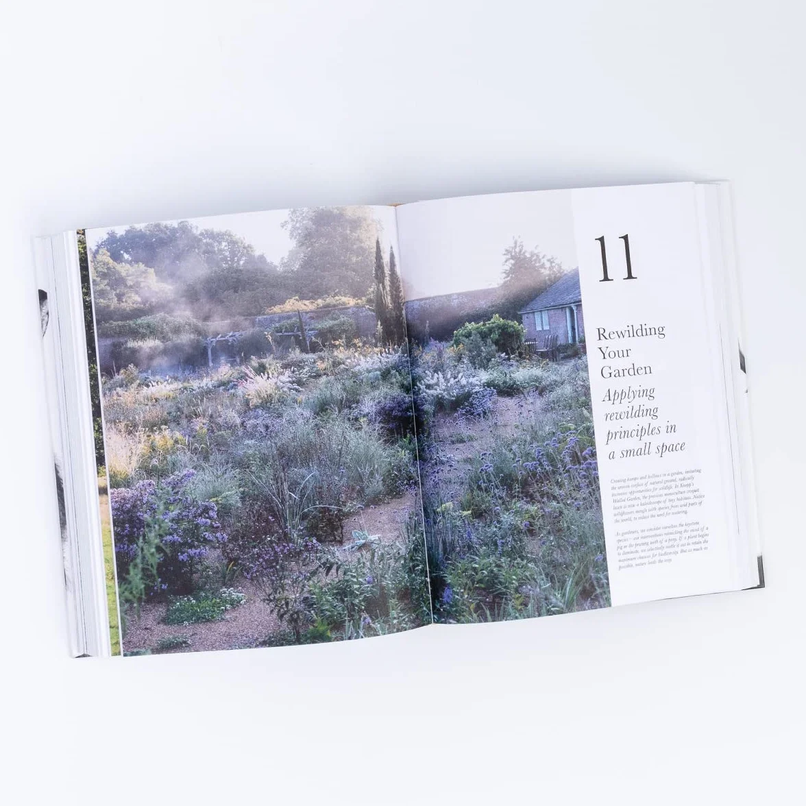 The Book of Wilding: A Practical Guide to Rewilding, Big and Small