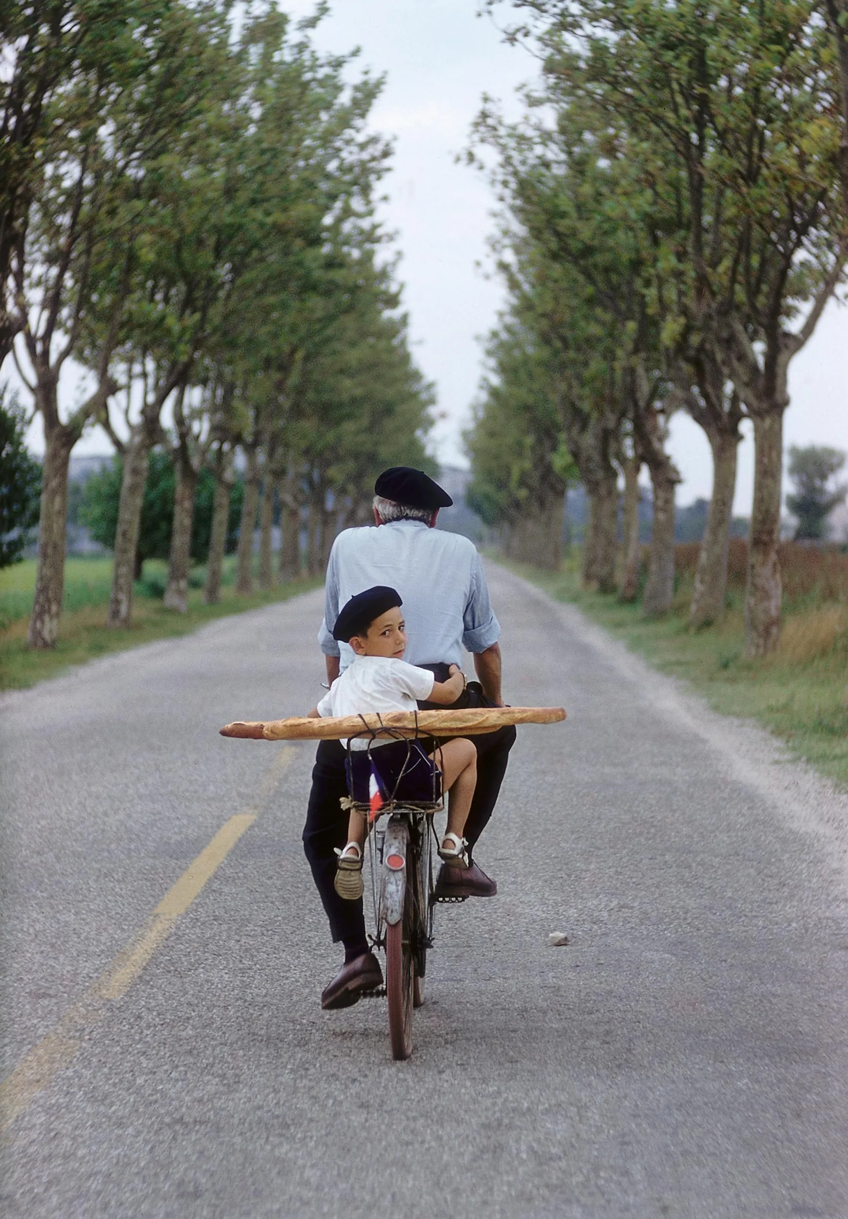 Elliott Erwitt's Kolor /anglais: New Edition