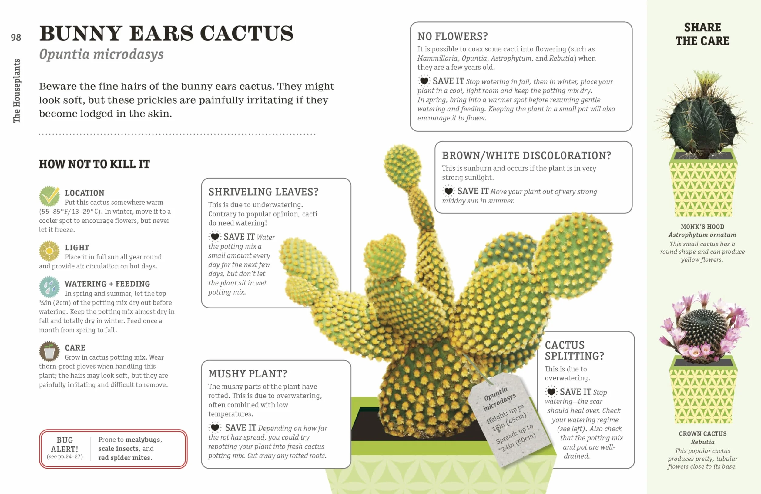 How Not to Kill Your Houseplant New Edition: Survival Tips for the Horticulturally Challenged