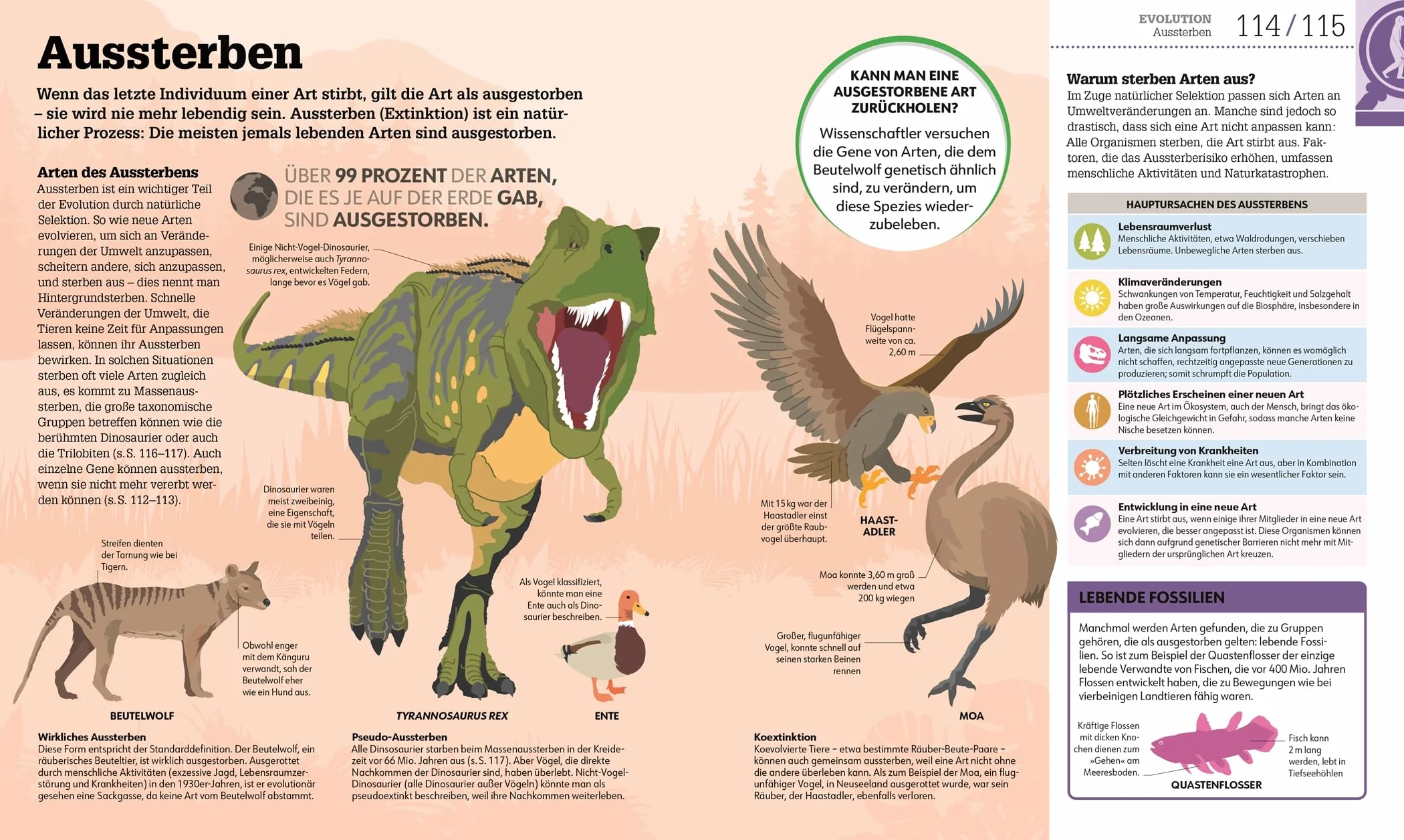 #dkinfografik. Biologie einfach erklärt: Genetik, Evolution, Ökologie. Leicht verständliche und visuell aufbereitete Einführung in die Biologie