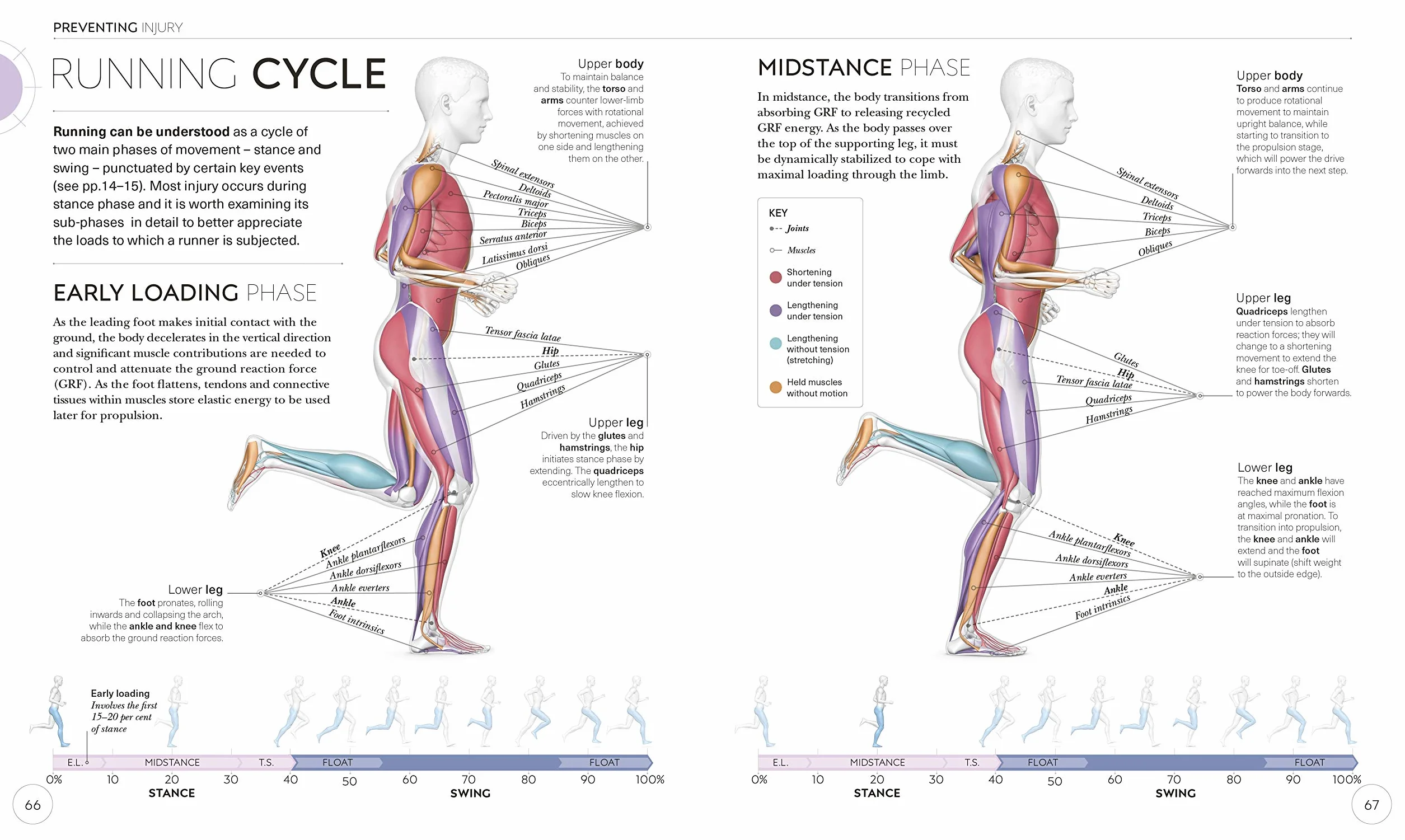 Science of Running: Analyse your Technique, Prevent Injury, Revolutionize your Training