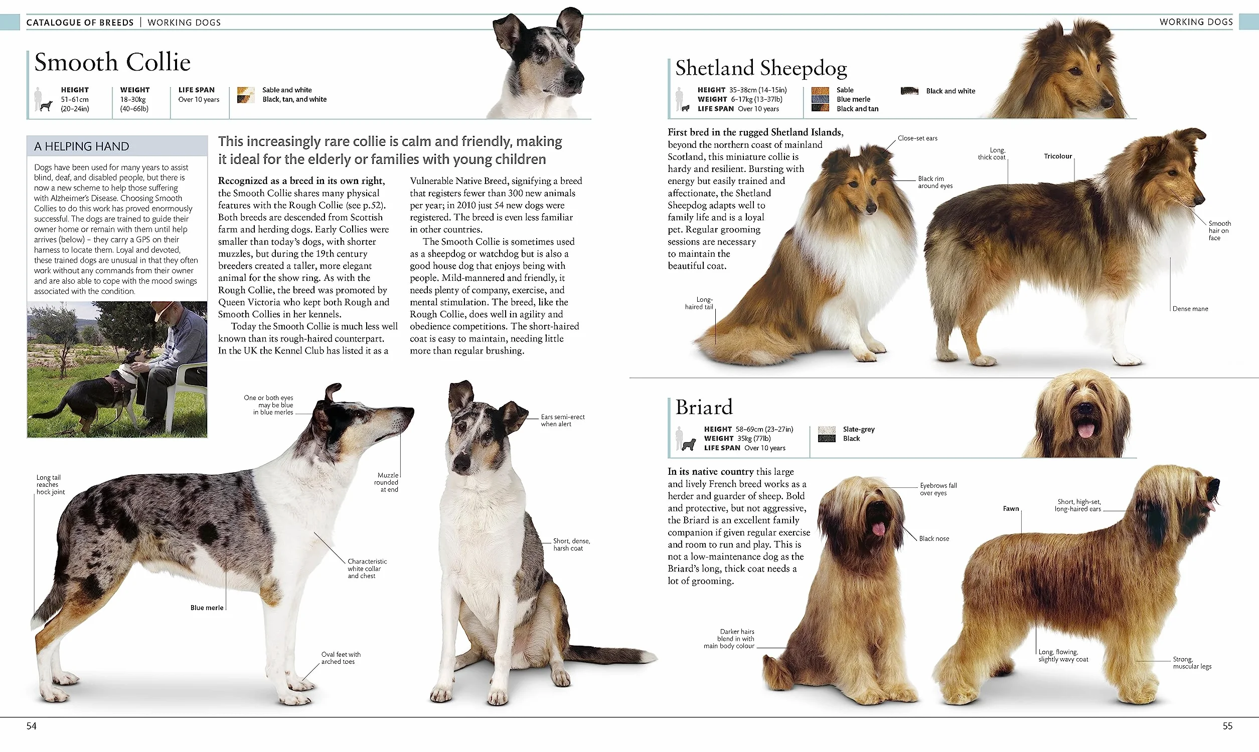 The Dog Encyclopedia: The Definitive Visual Guide