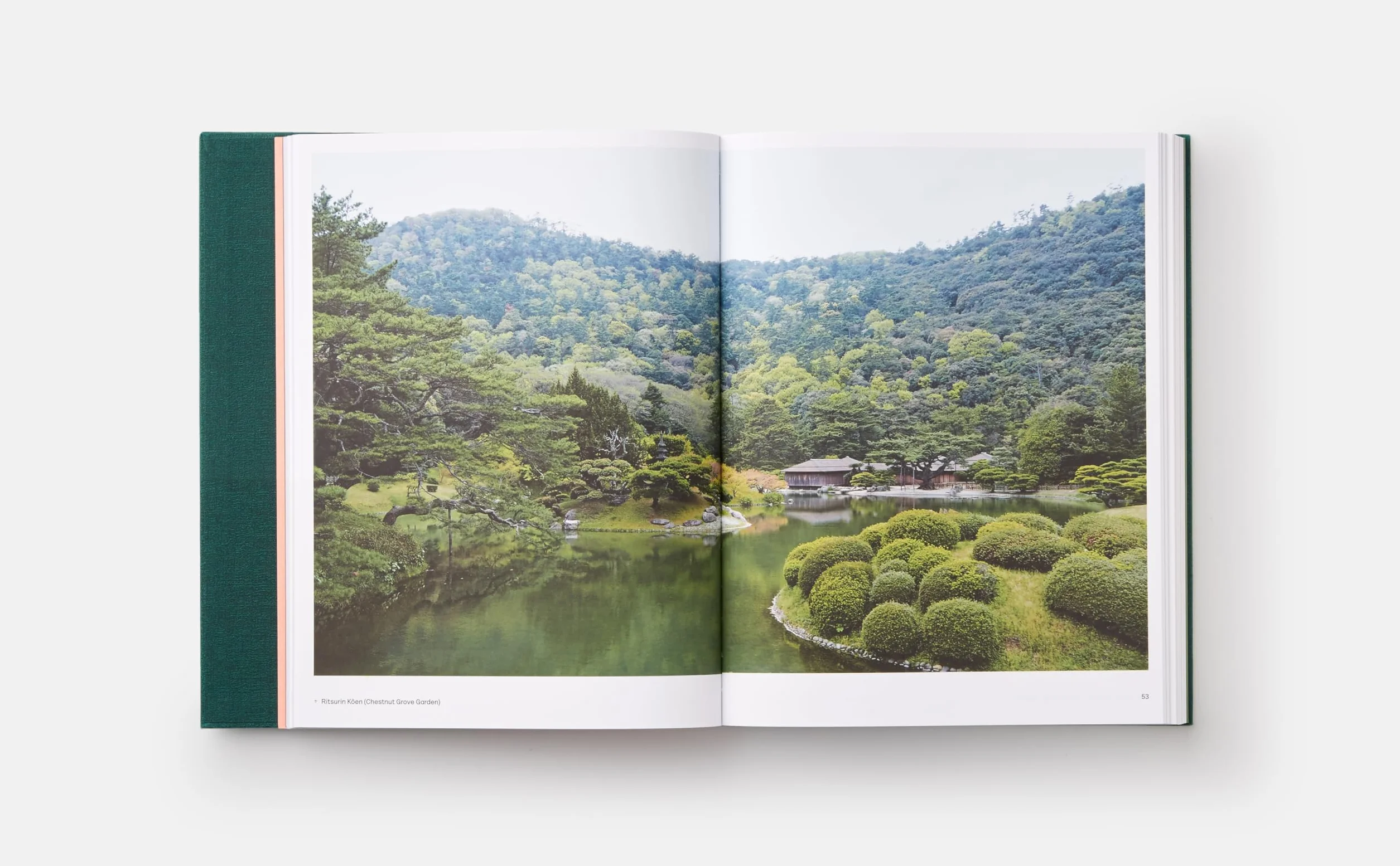 The japanese garden
