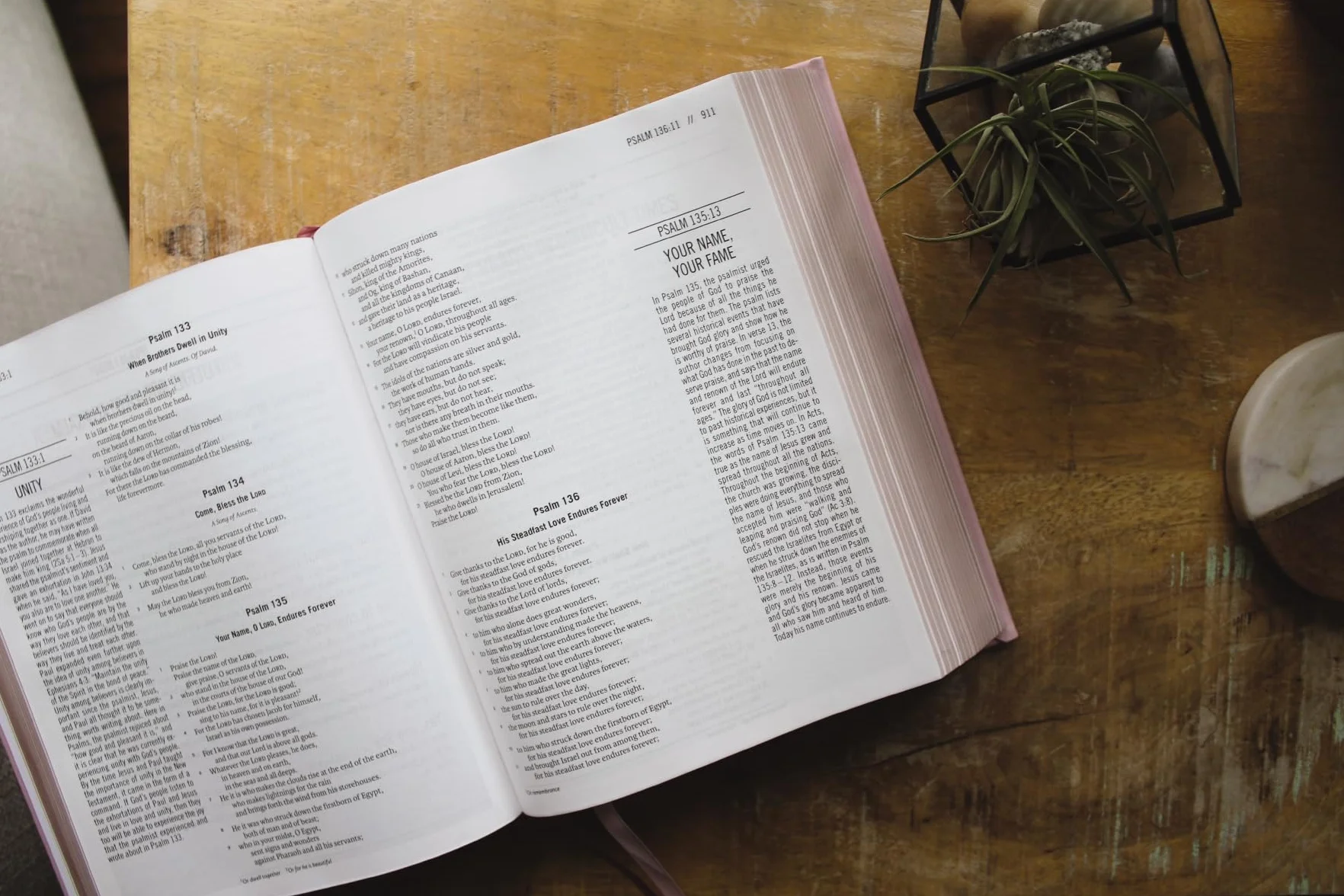 The Jesus Bible, ESV Edition, Leathersoft Over Board, Pink: Sixty-Six Books. One Story. All About One Name.