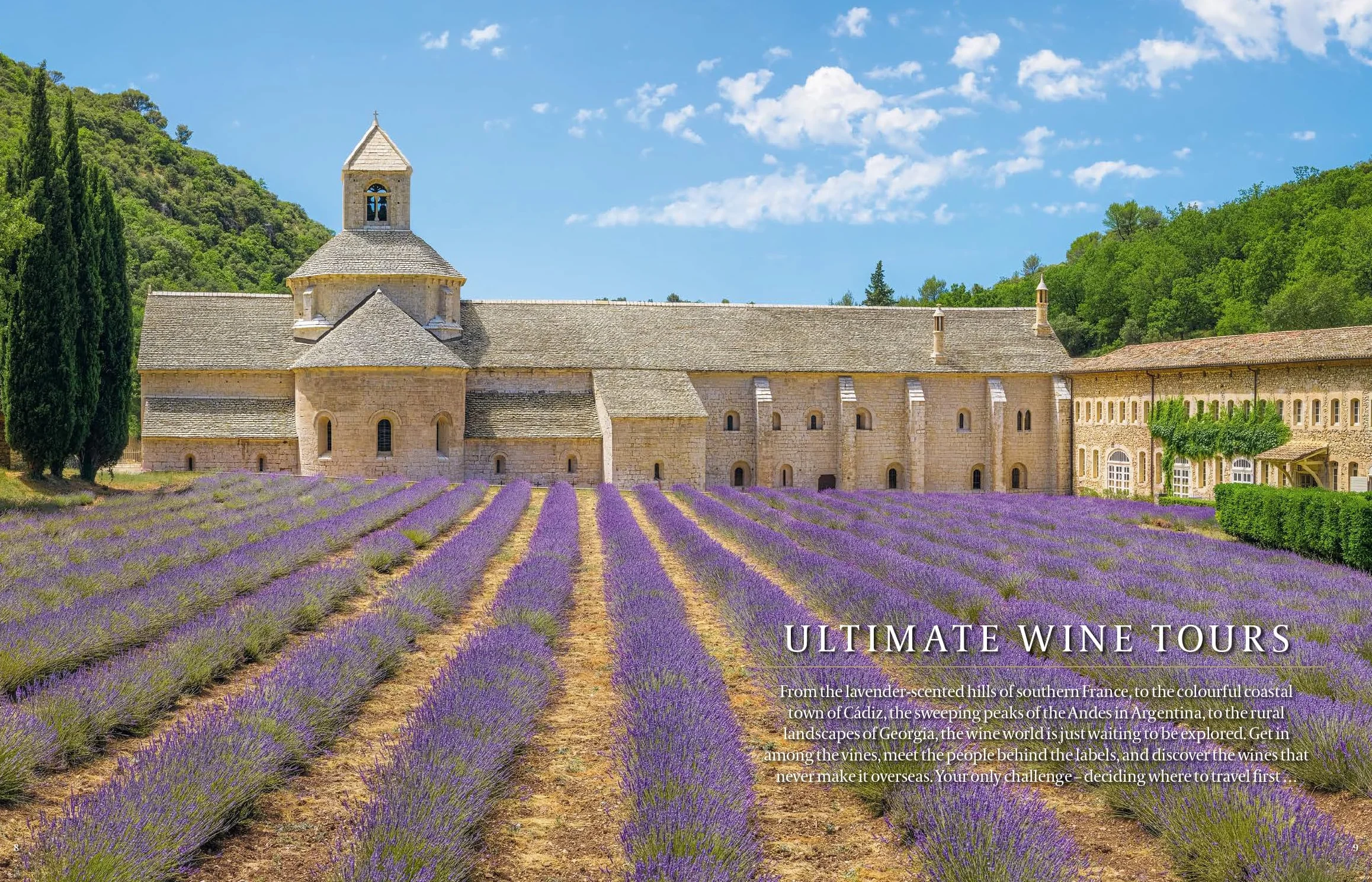 The Ultimate Wine Lover's Travel Guide: In Association with Decanter