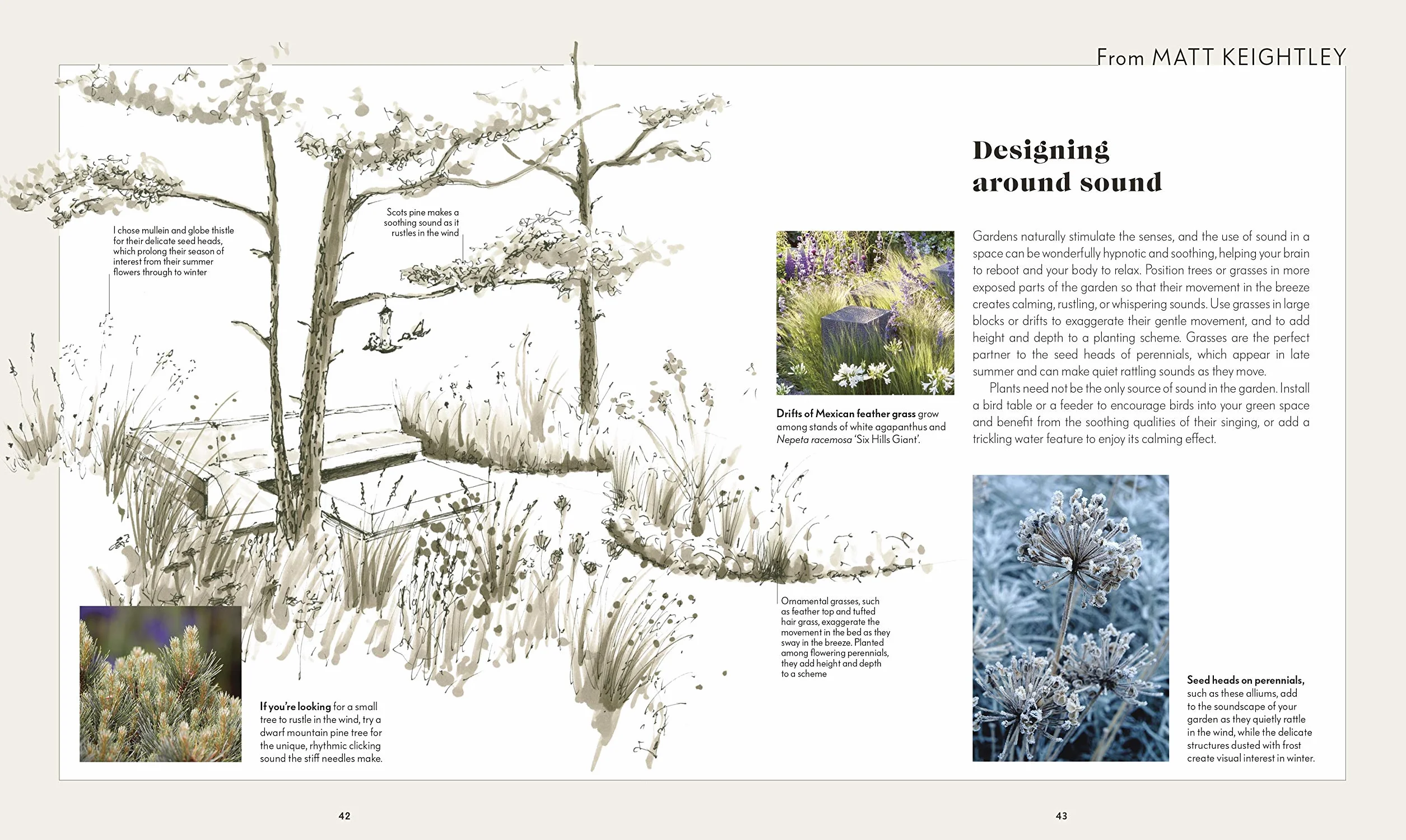 RHS Your Wellbeing Garden: How to Make Your Garden Good for You - Science, Design, Practice