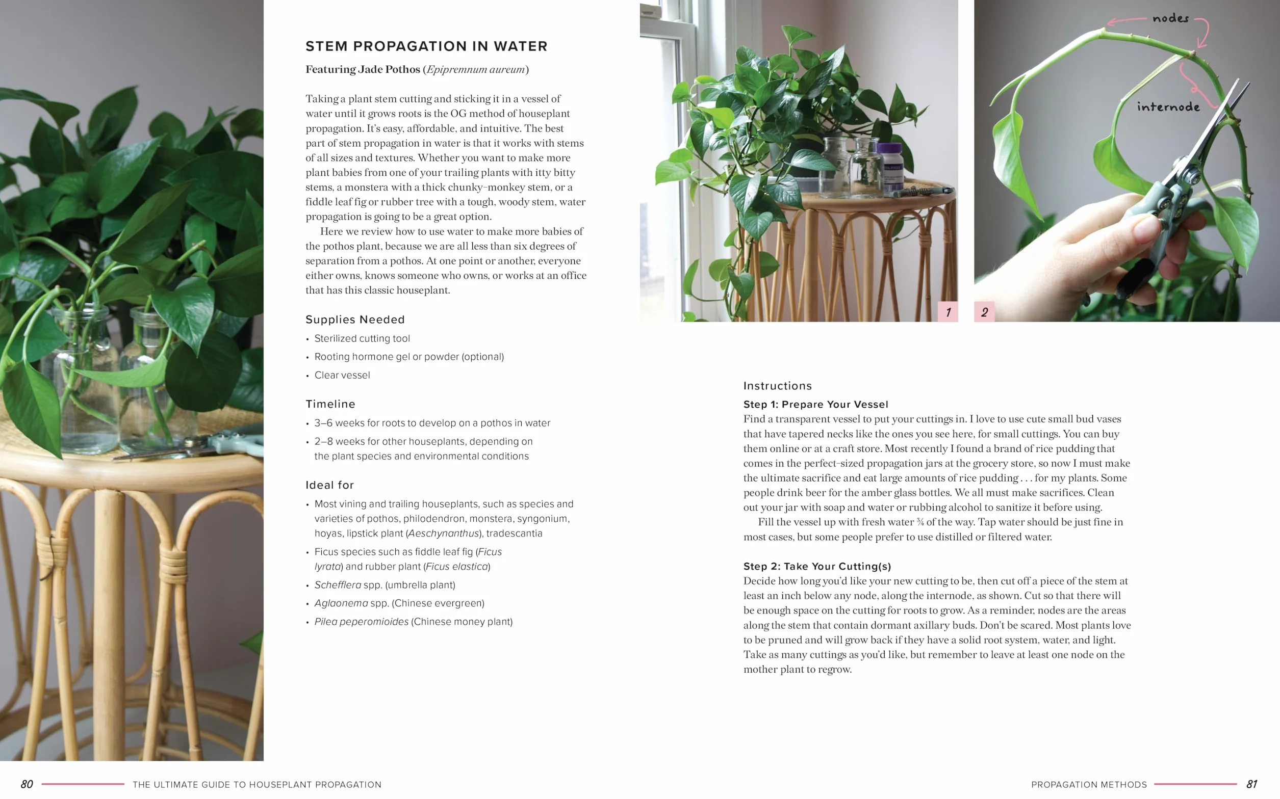 The Ultimate Guide to Houseplant Propagation: Step-By-Step Techniques for Making More Houseplants . . . for Free!