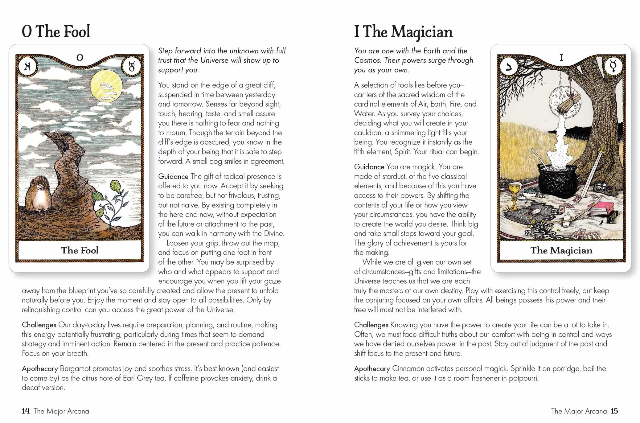 Elemental Power Tarot: Includes a Full Deck of 78 Cards and a 64-Page Illustrated Book