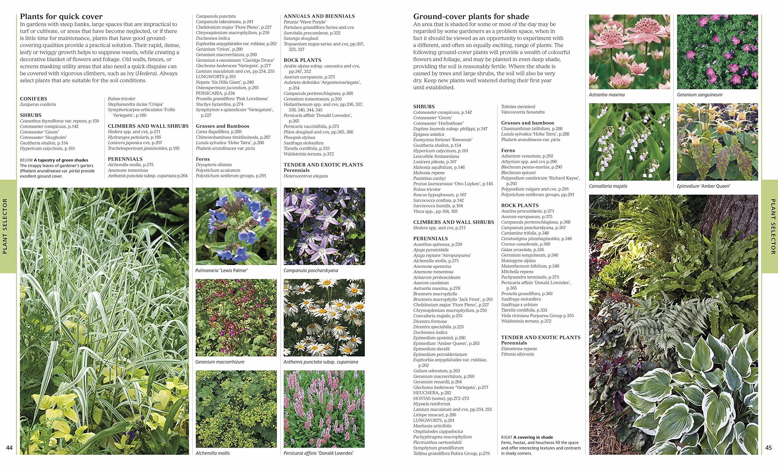 RHS Encyclopedia Of Plants and Flowers: 8000 plants with more than 1400 new entries