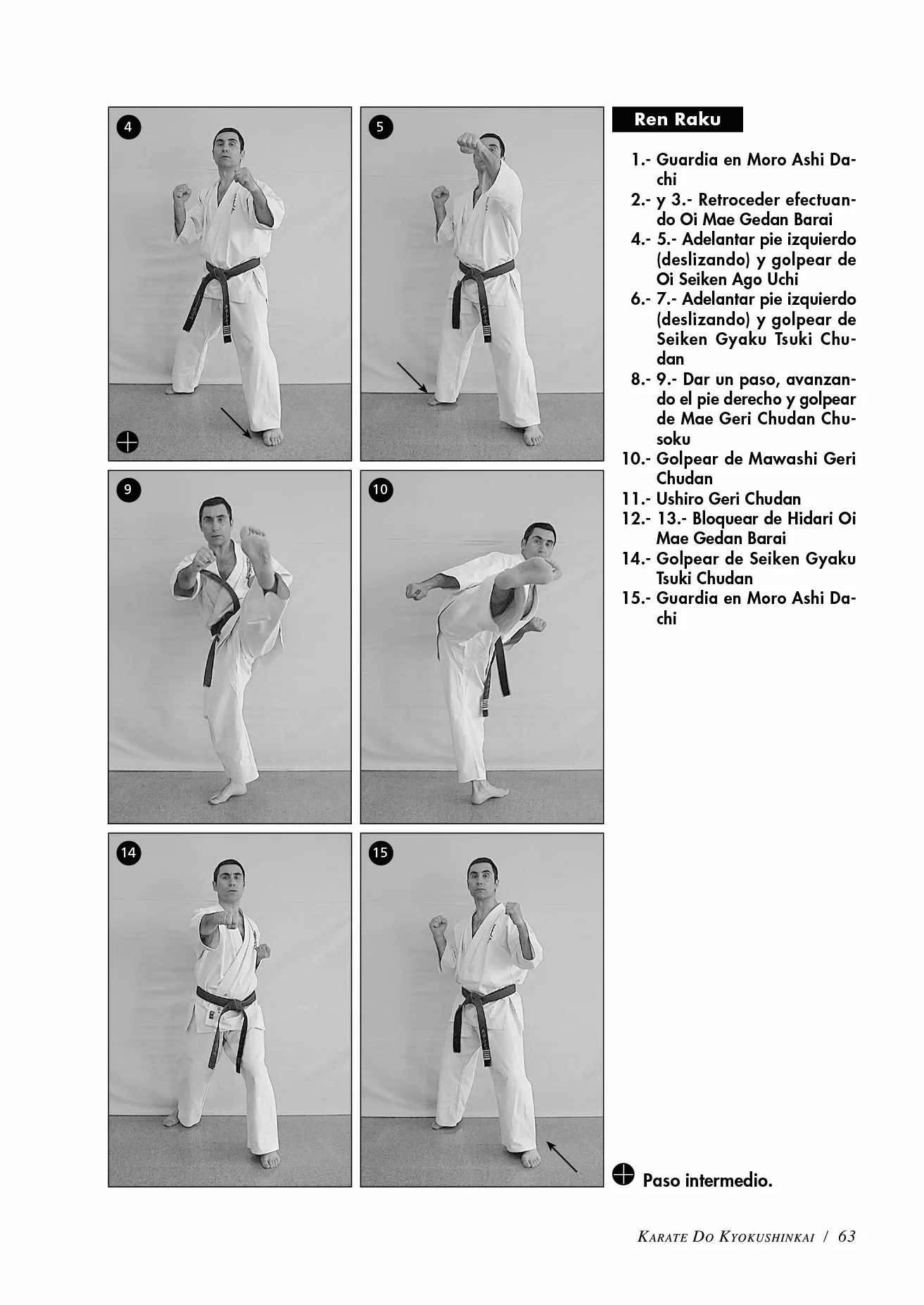 Karate do Kyokushinkai (Volumen 2º): Tecnica superior, kata, kumite y defensa personal