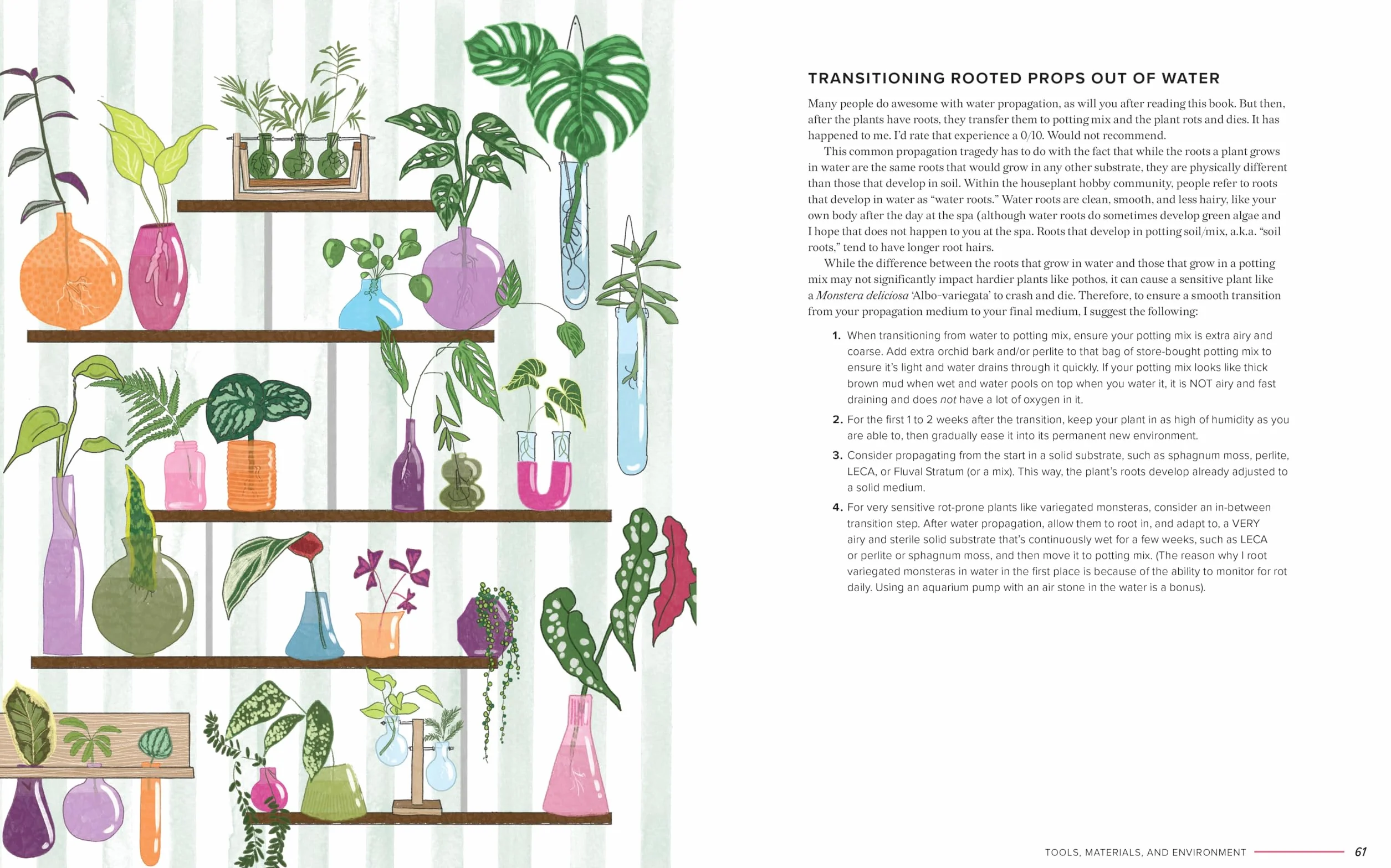 The Ultimate Guide to Houseplant Propagation: Step-By-Step Techniques for Making More Houseplants . . . for Free!