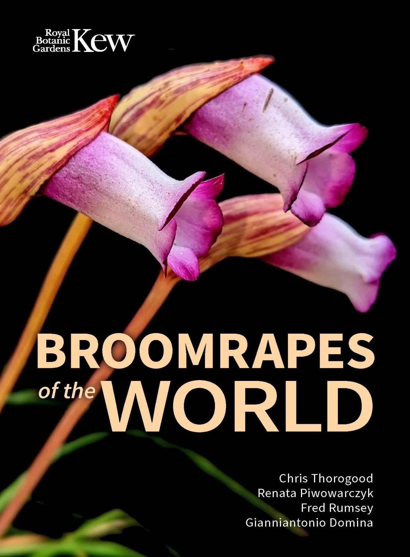Broomrapes of the World