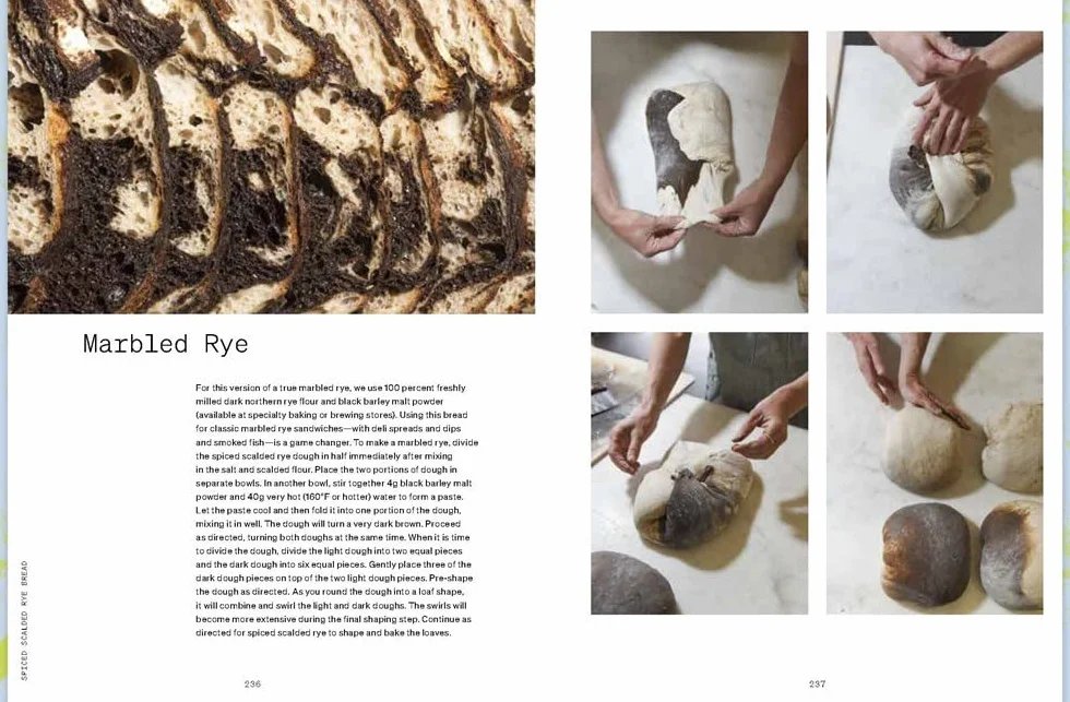 Bread Book: Ideas and Innovations from the Future of Grain, Flour, and Fermentation [A Cookbook]