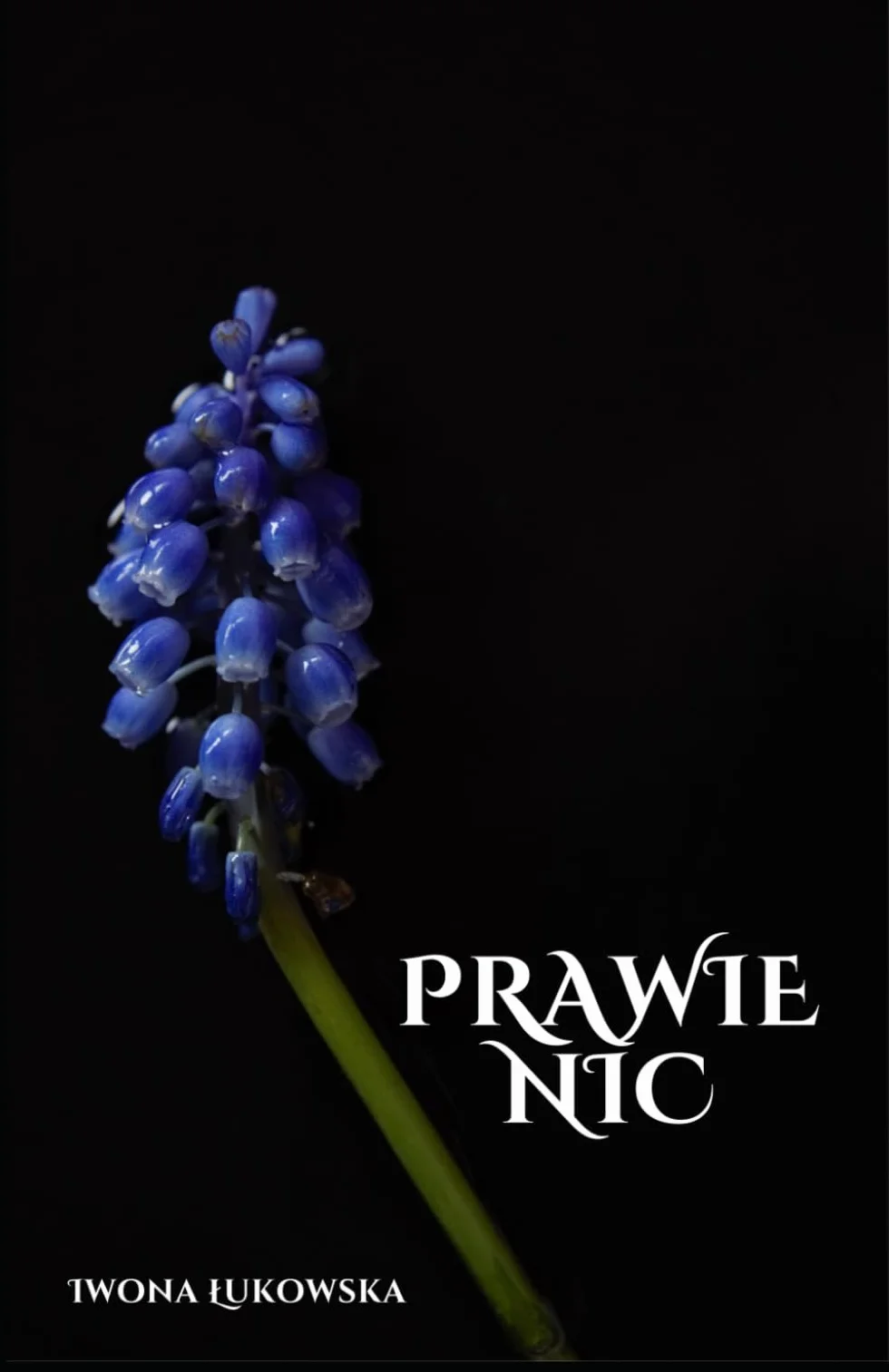 Prawie Nic