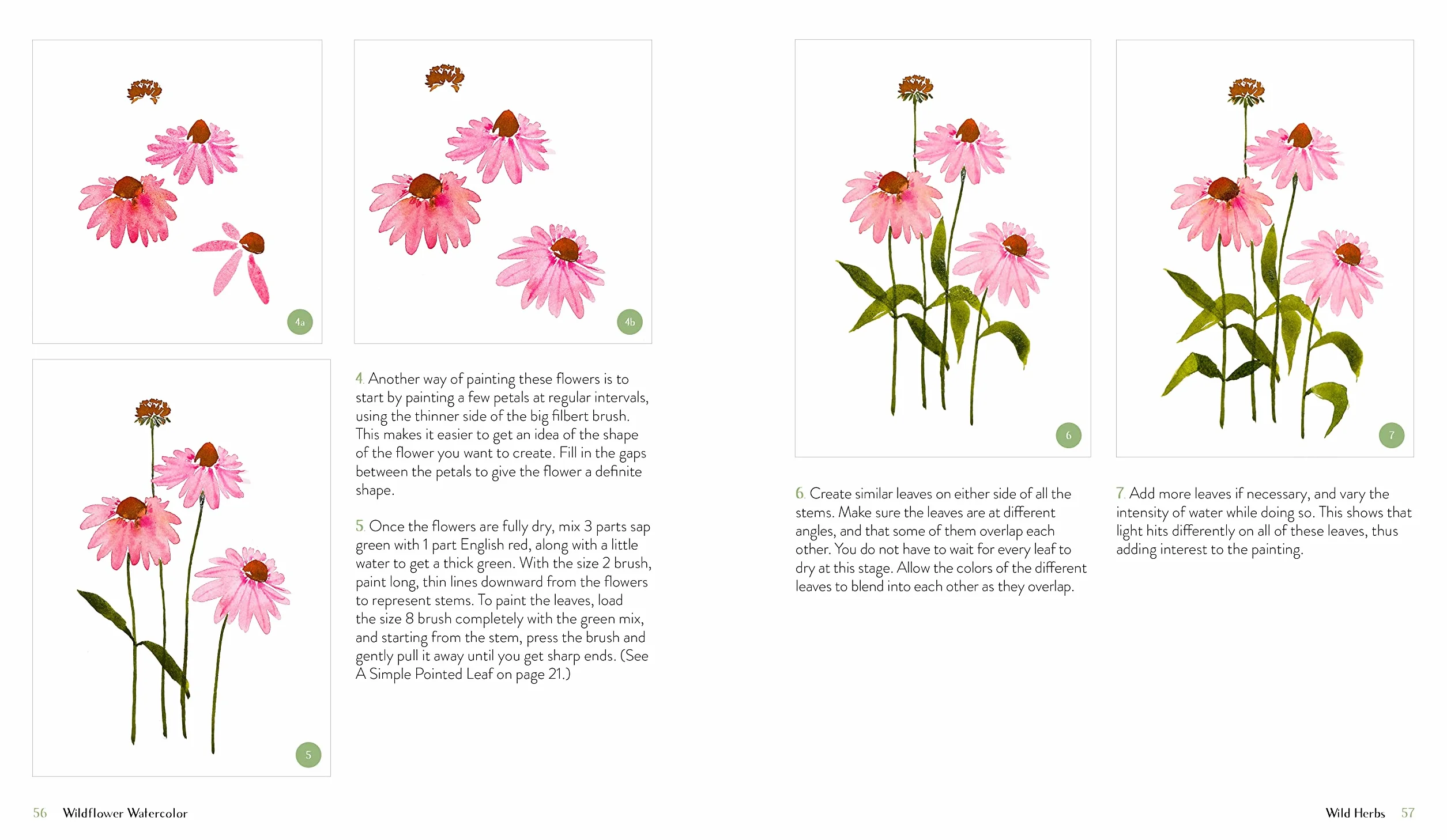 Wildflower Watercolor: The Beginner's Guide to Painting Beautiful Florals