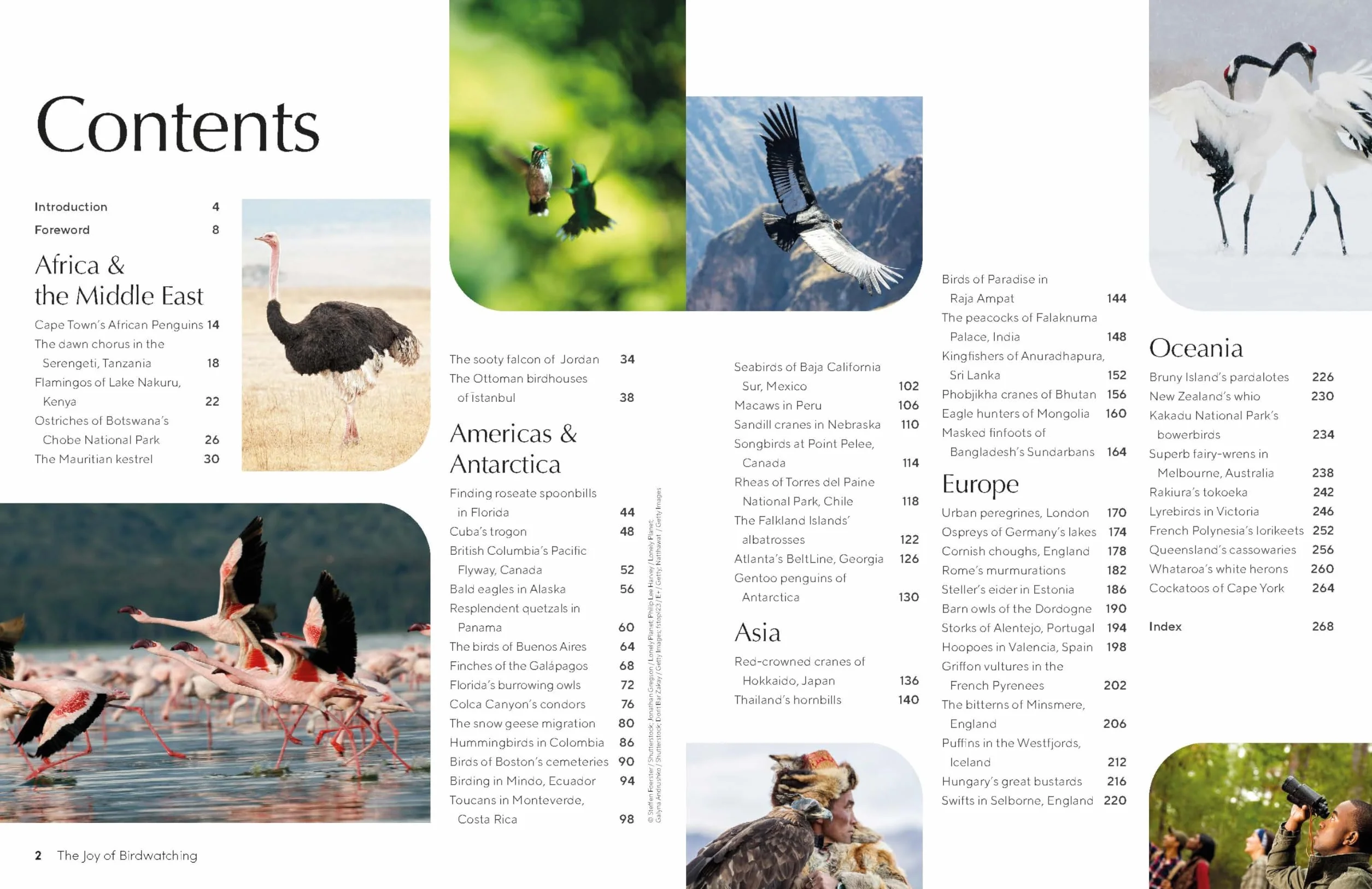 The Joy of Birdwatching - anglais: The World's Most Joyous Birding Adventures | Connect with Nature & Meet Remarkable Creatures | Packed with Tips on Where & When to Go