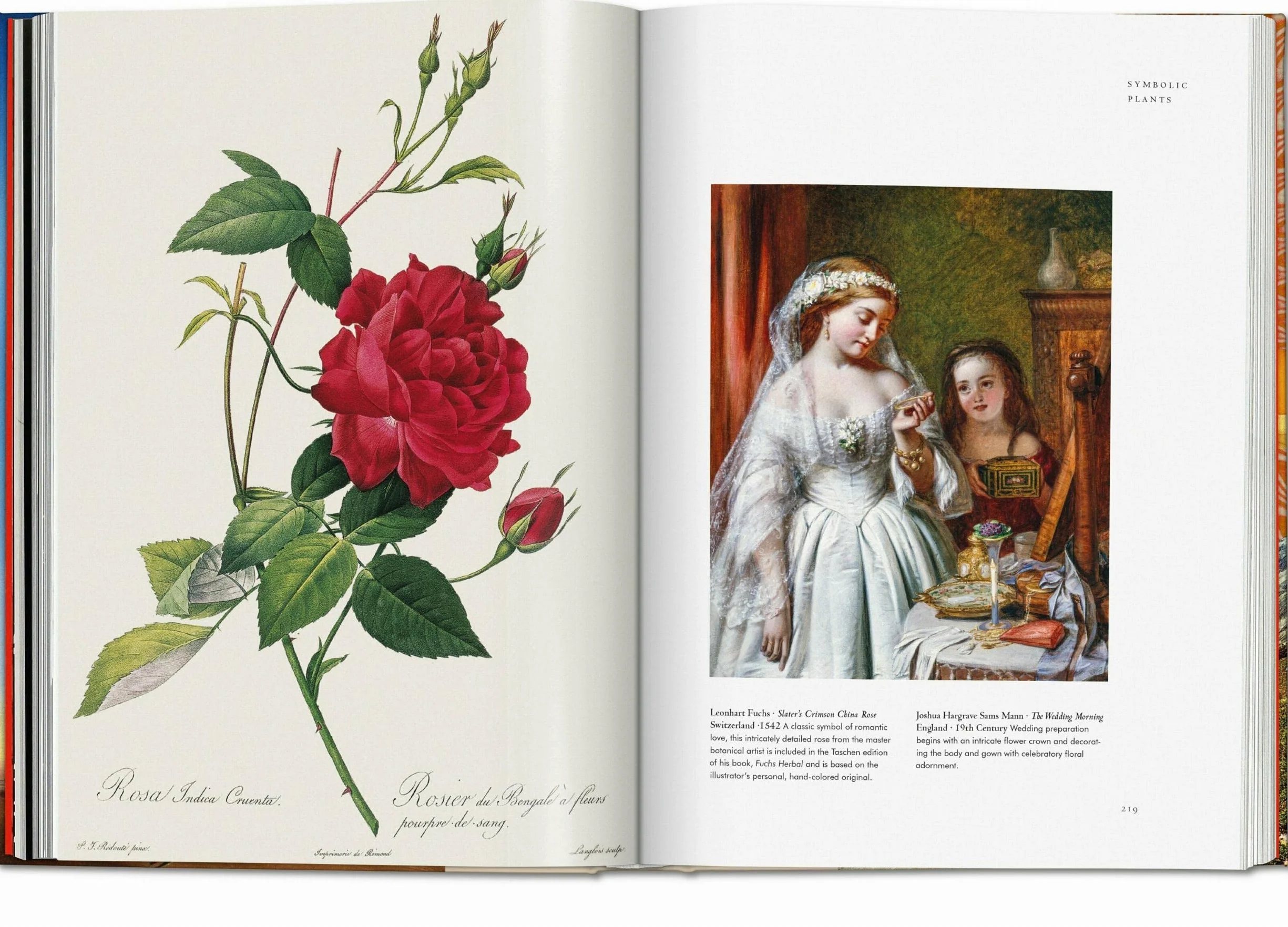 Plant Magick. the Library of Esoterica