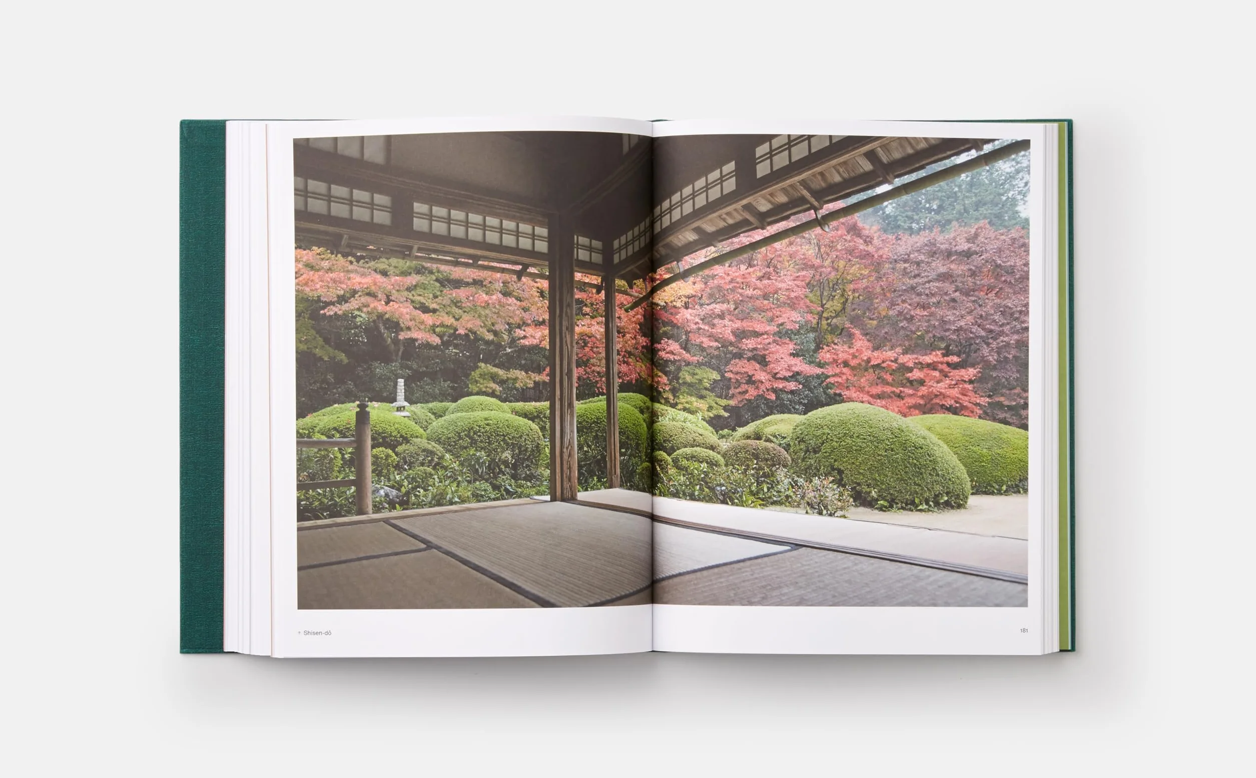 The japanese garden