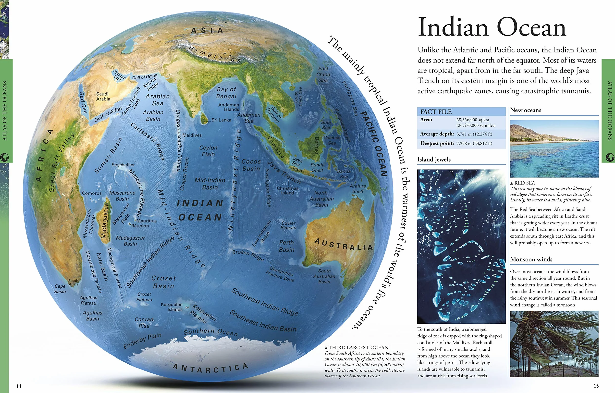 Ocean A Children's Encyclopedia