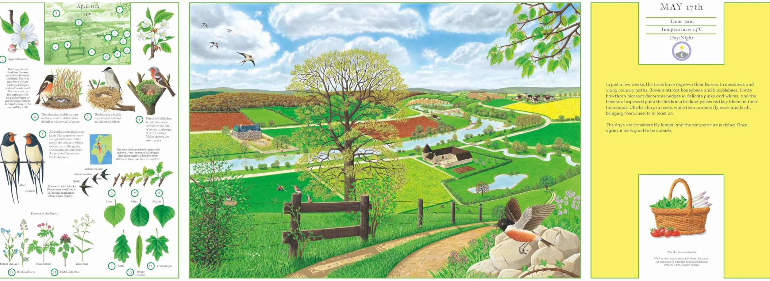 A Year in Nature: Explore the Countryside, Month by Month