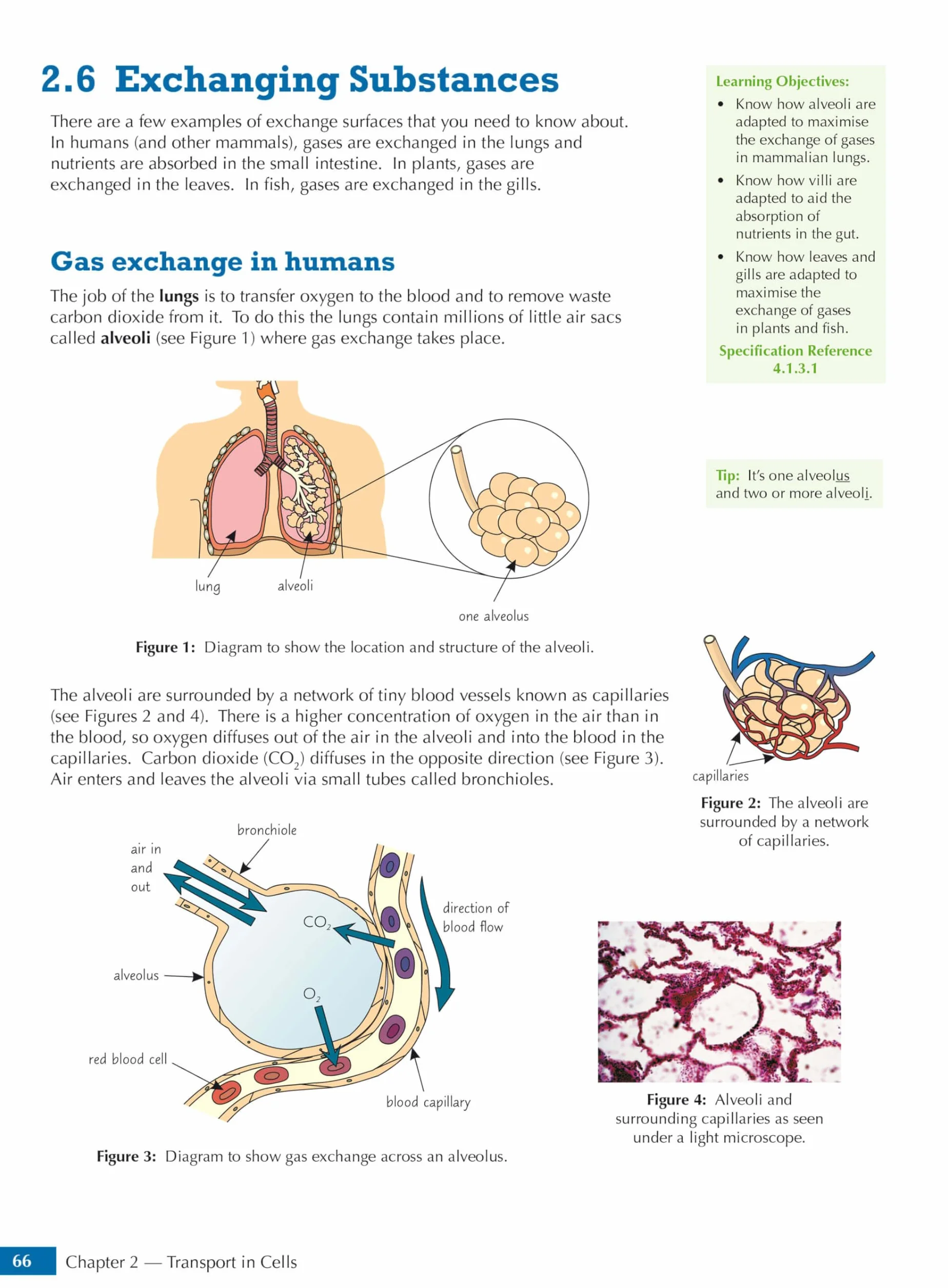 GCSE Biology AQA Student Book (includes Online Edition, Videos and Answers)