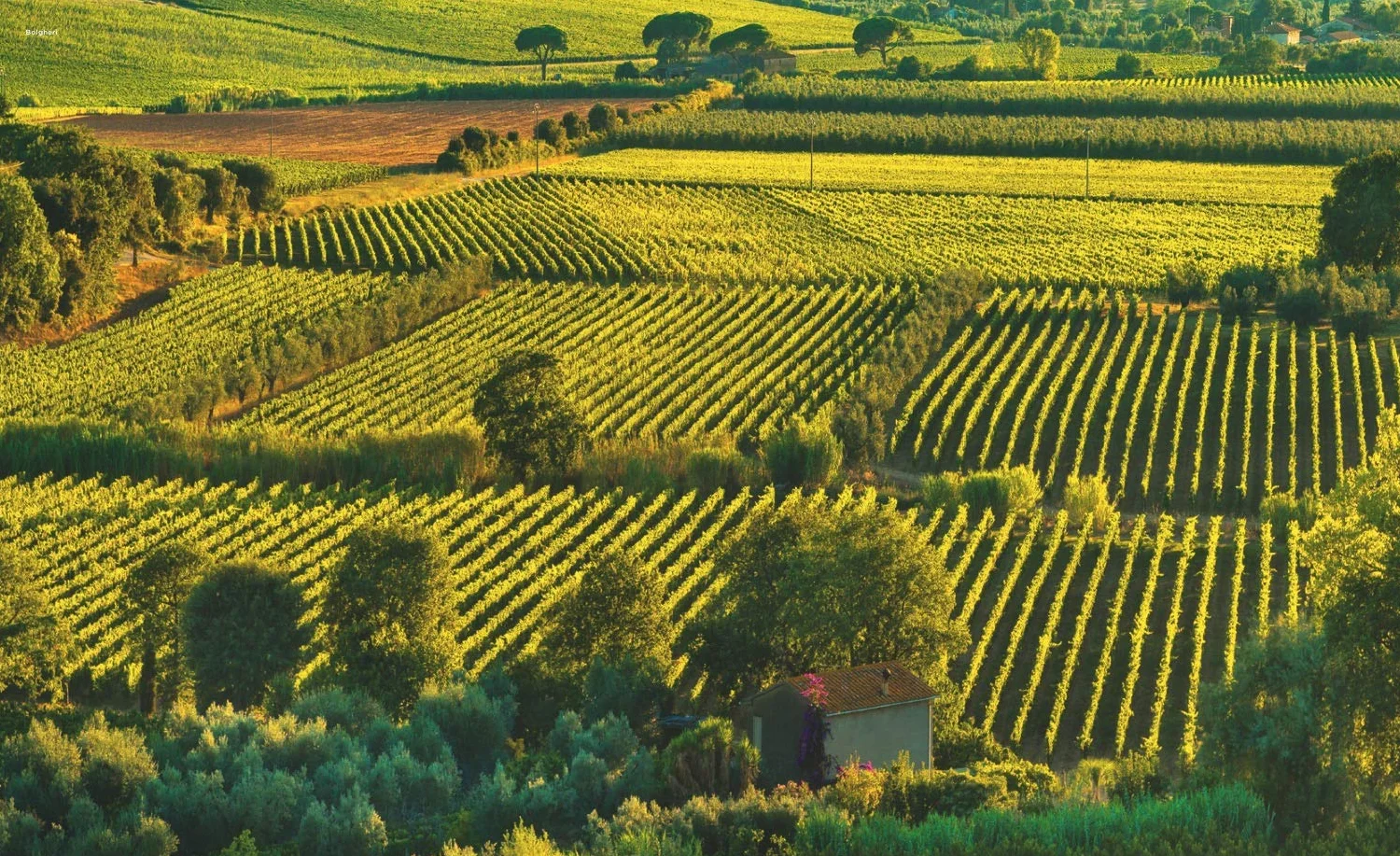 Toscane