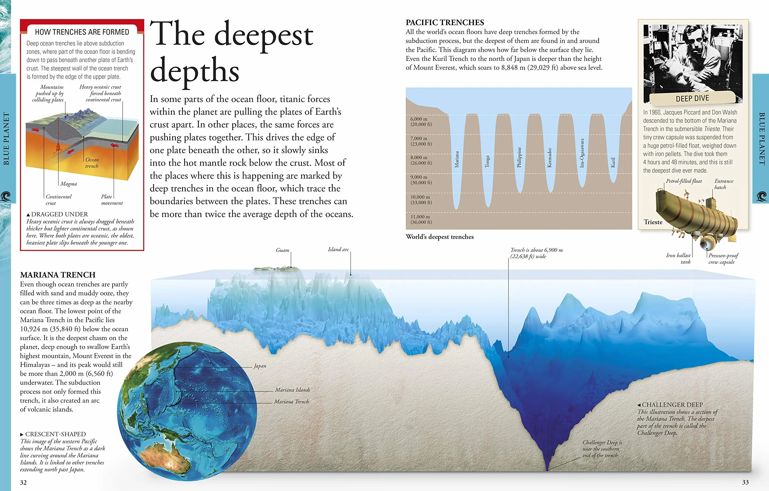 Ocean A Children's Encyclopedia